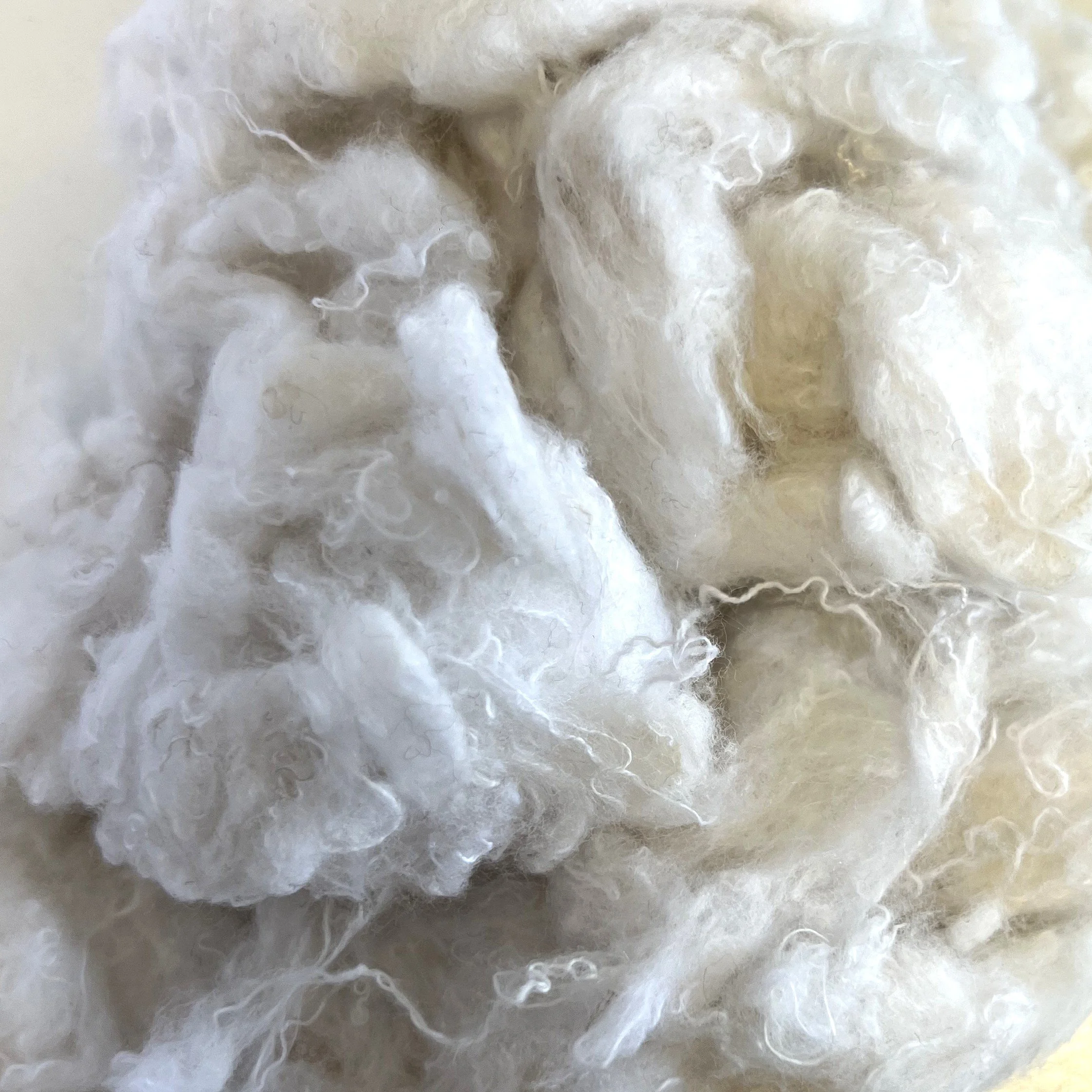 cotton 90perc 1.jpeg