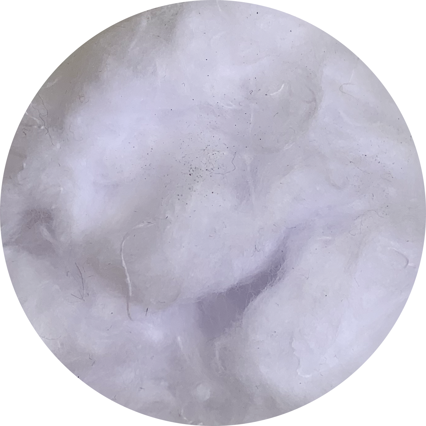 Cotton Fiber