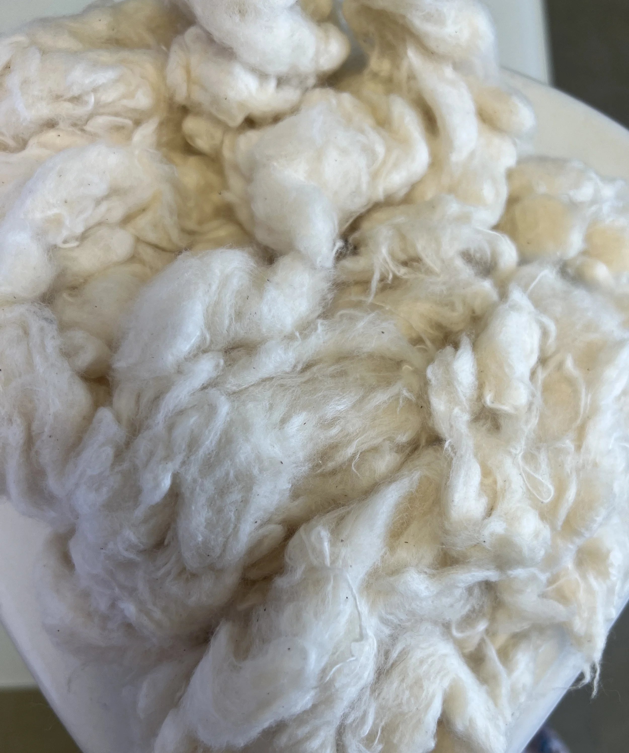 100% Ecru Cotton Fiber 2
