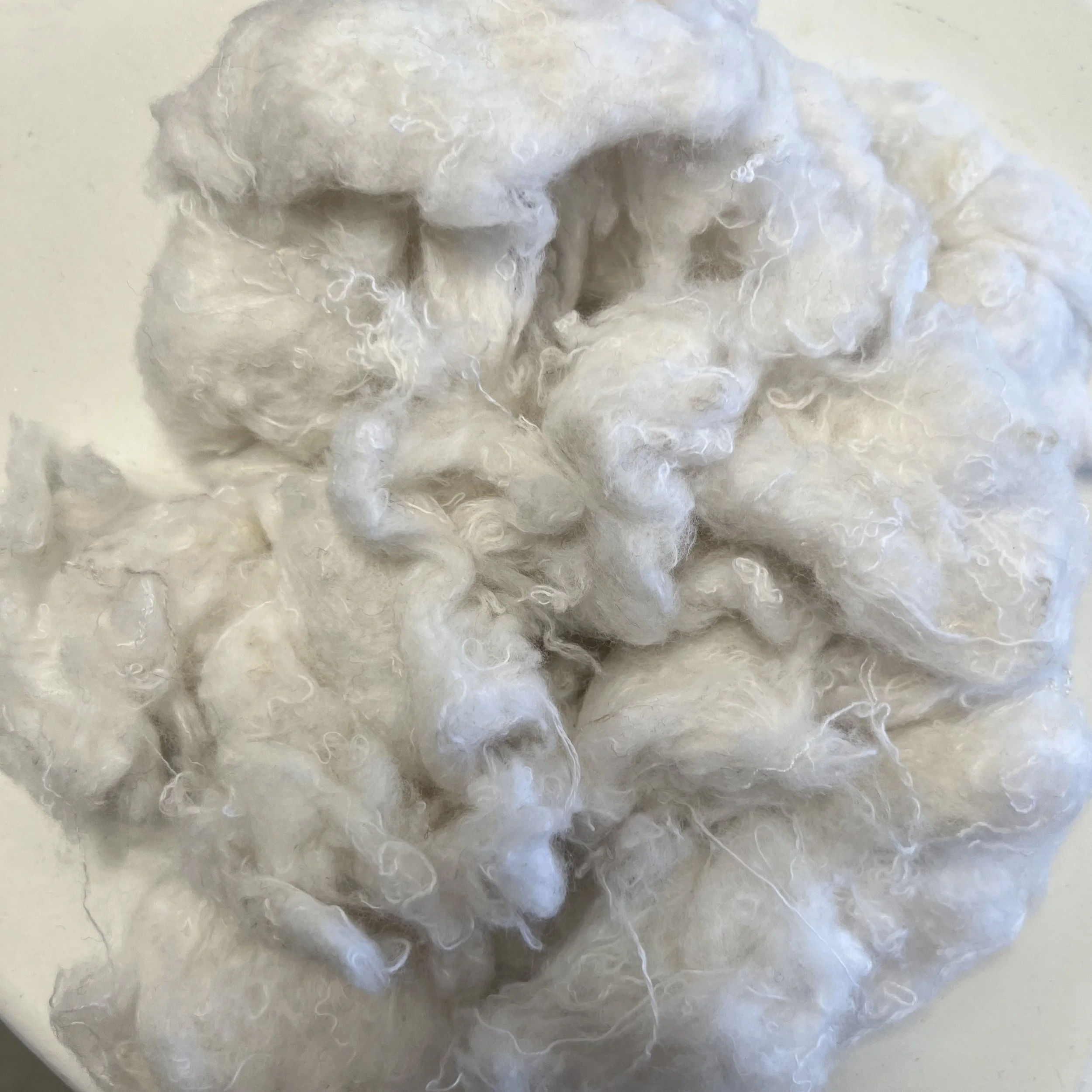 cotton 90perc 2.jpeg