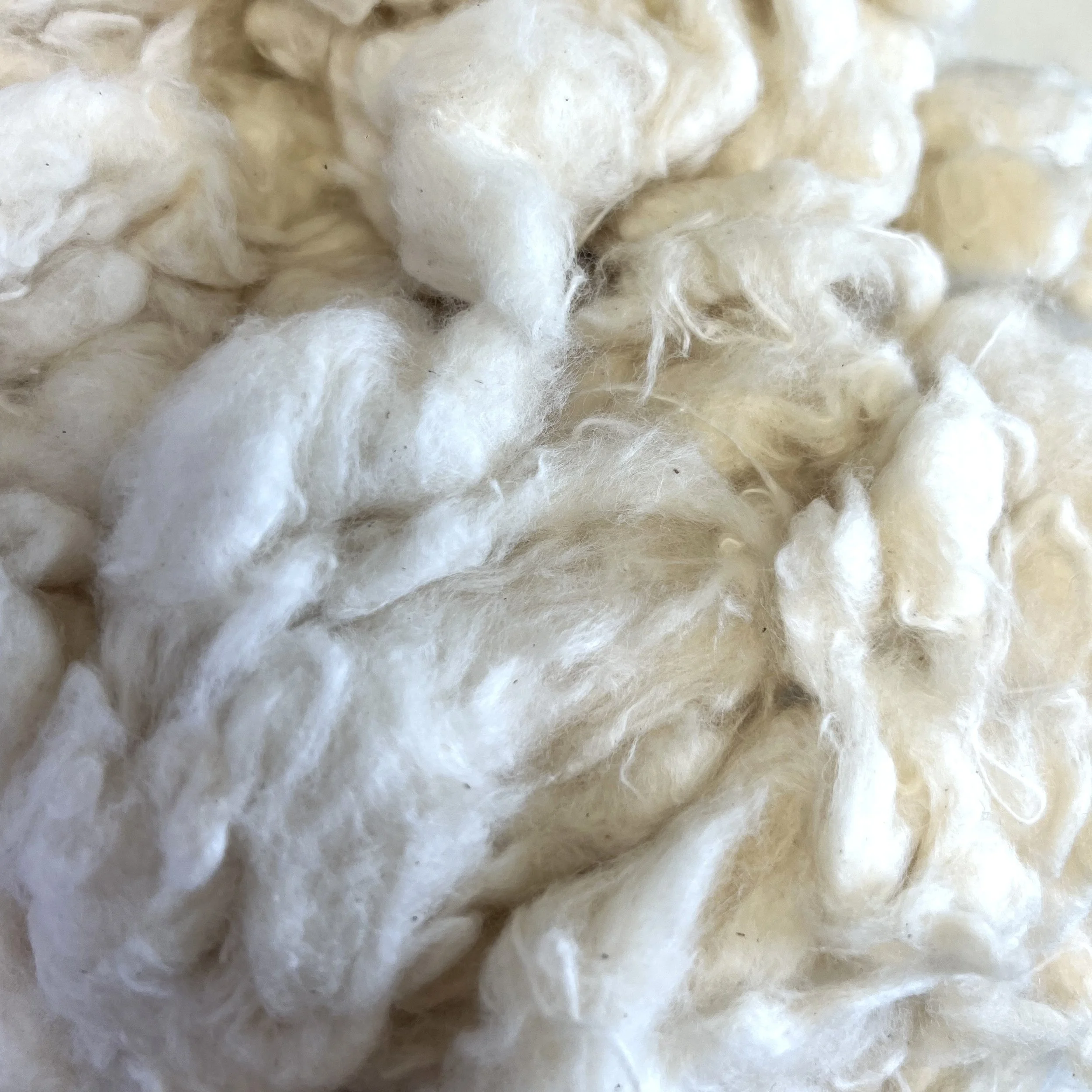 100% Ecru Cotton Fiber 3