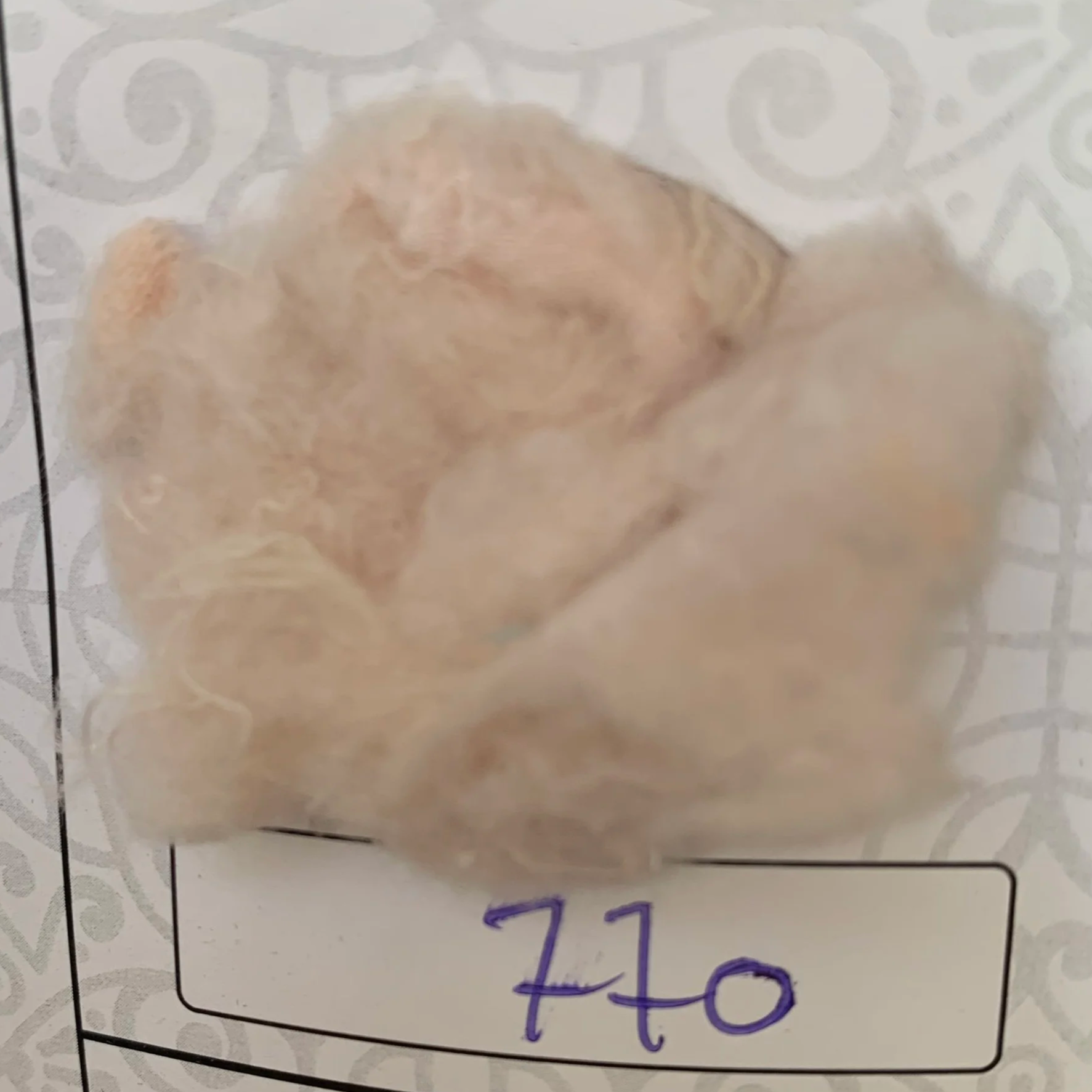 cotton fiber beige