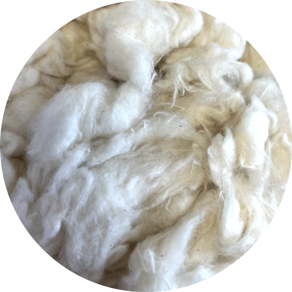 100% Ecru Cotton Fiber 1