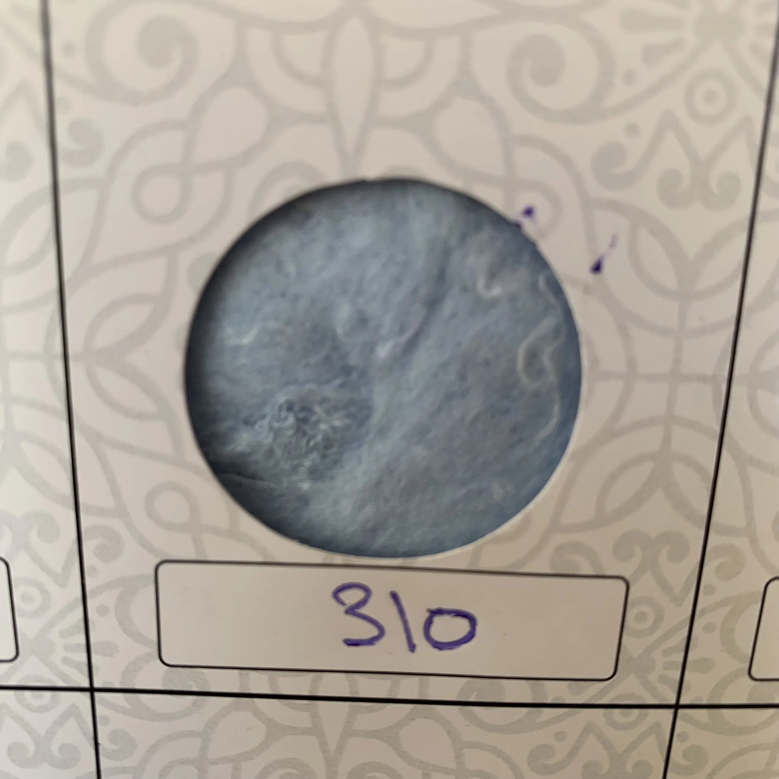 cotton fiber baby blue