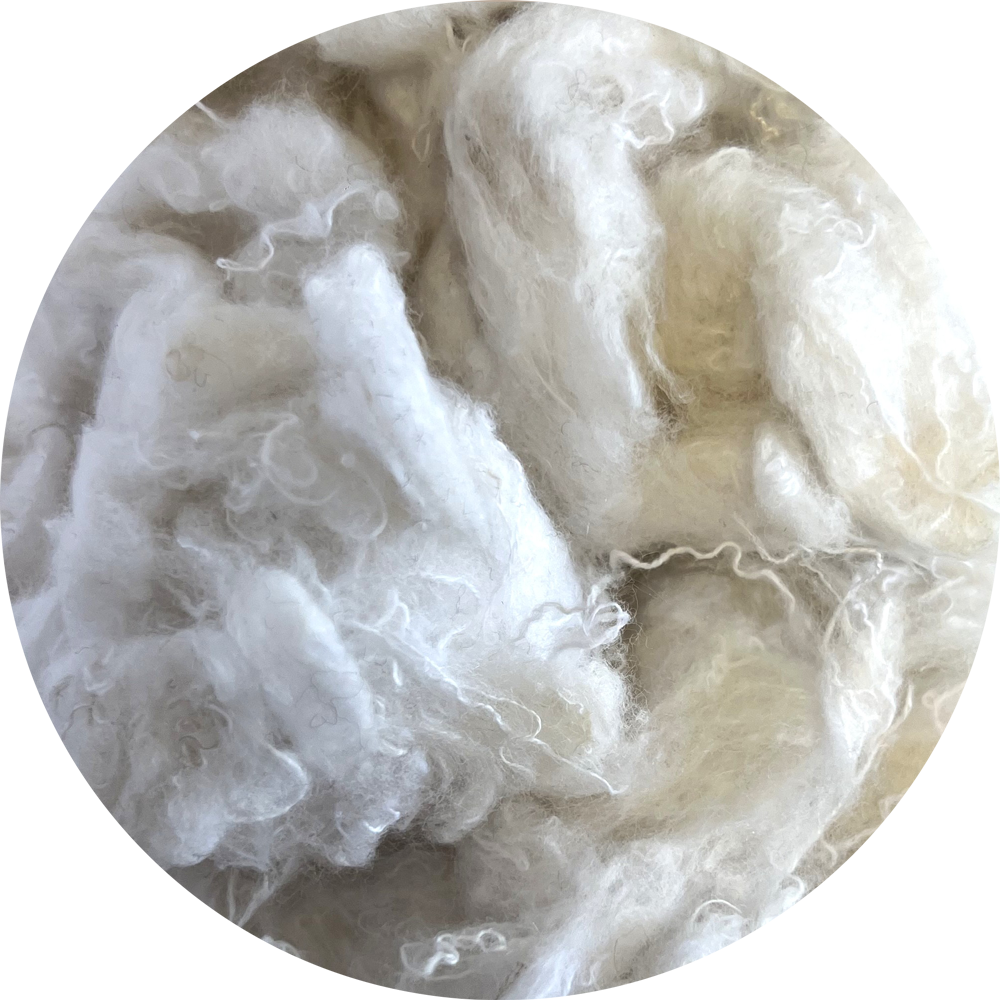 THUMB-cotton-90perc-1.png