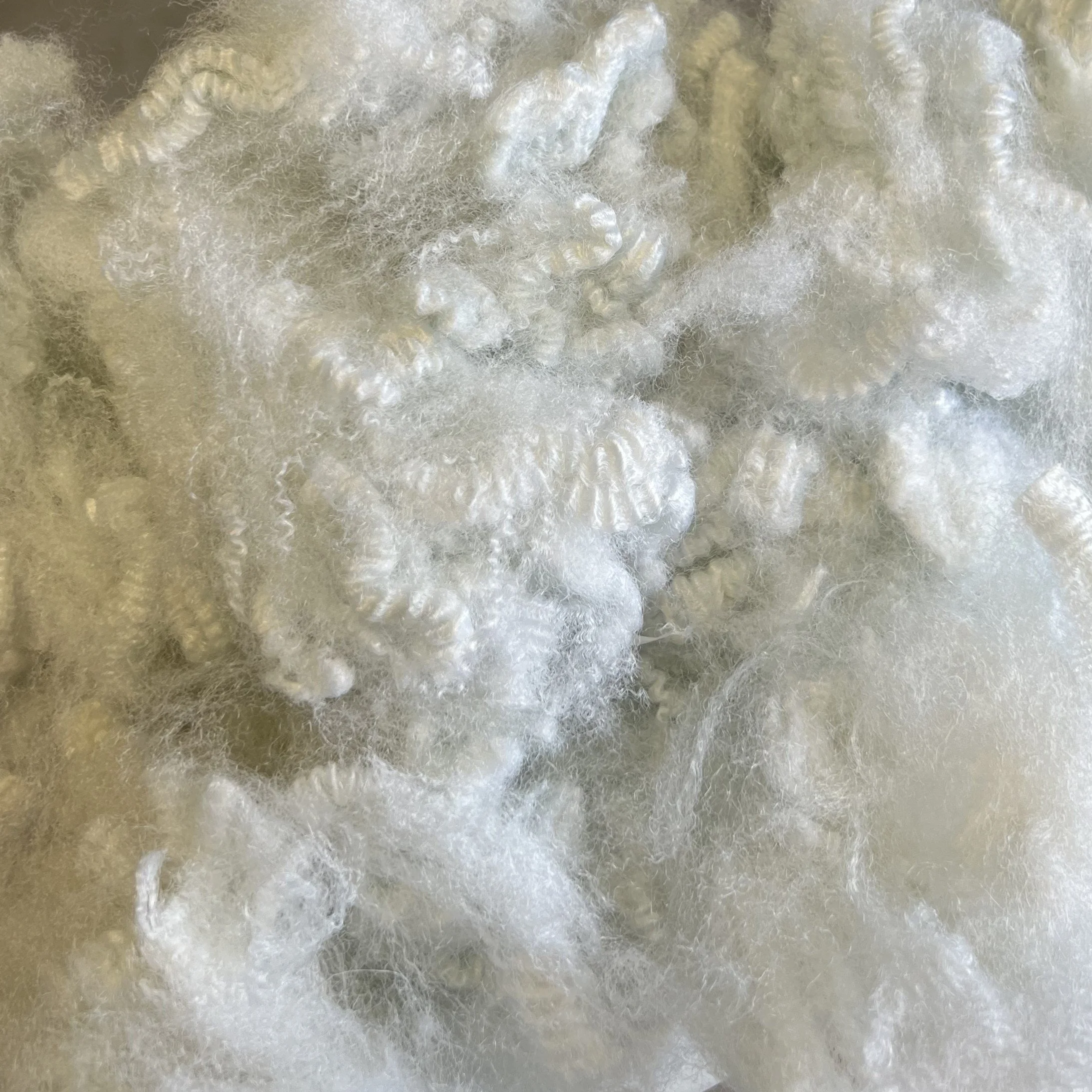 1-Polyester staple fiber.jpeg