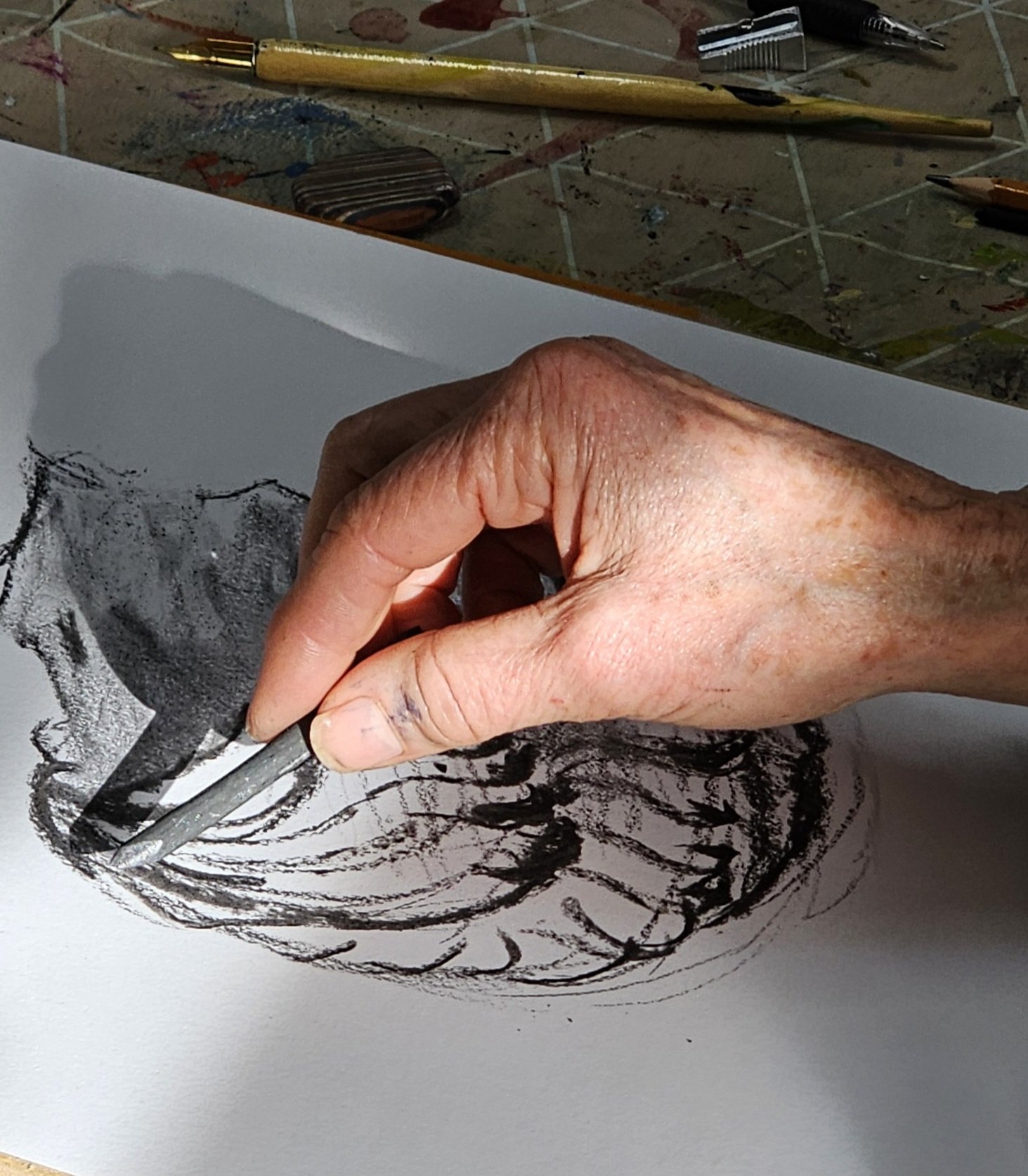 charcoal drawing of a shell.jpg