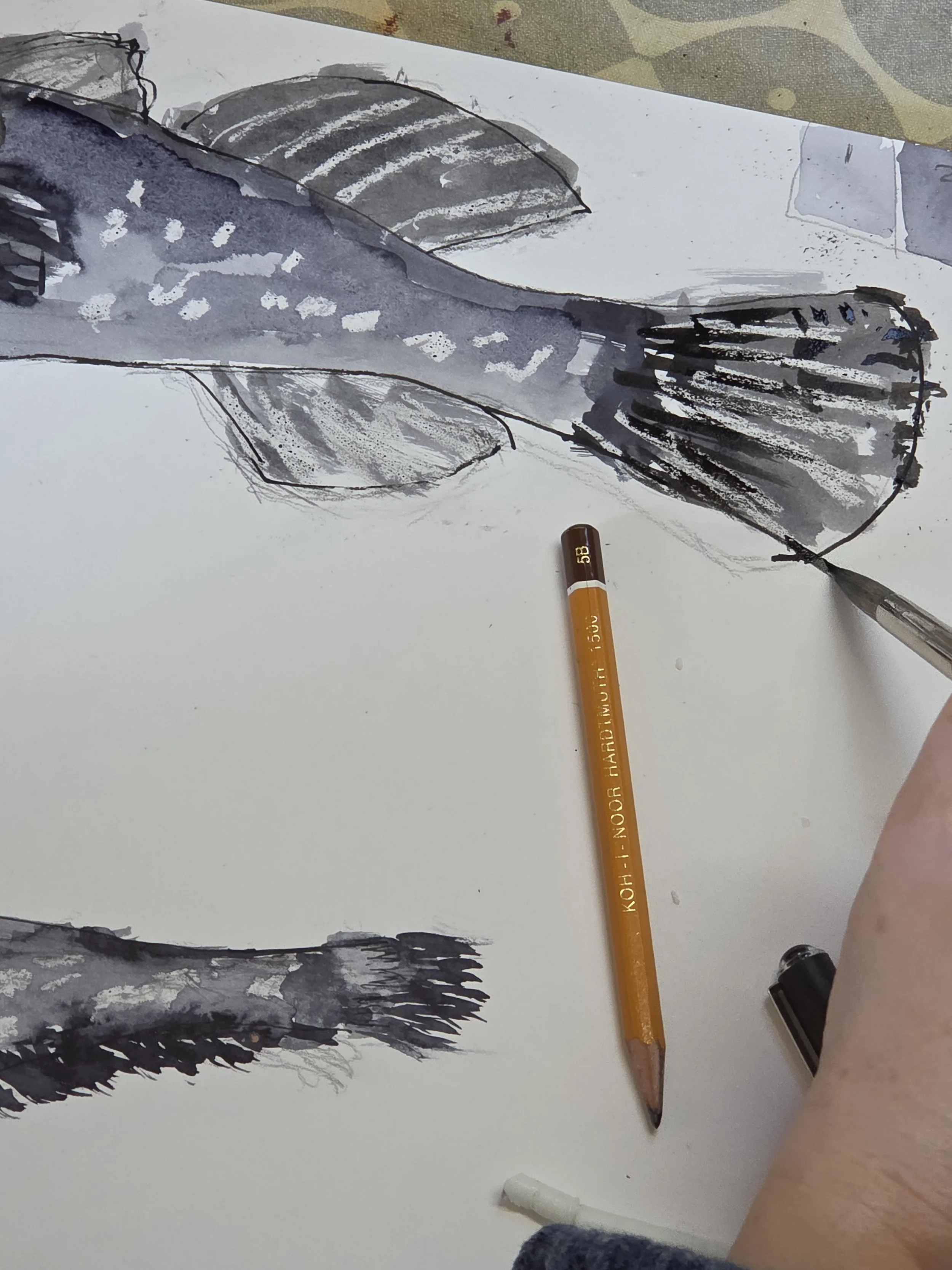 fish in ink close up.jpg