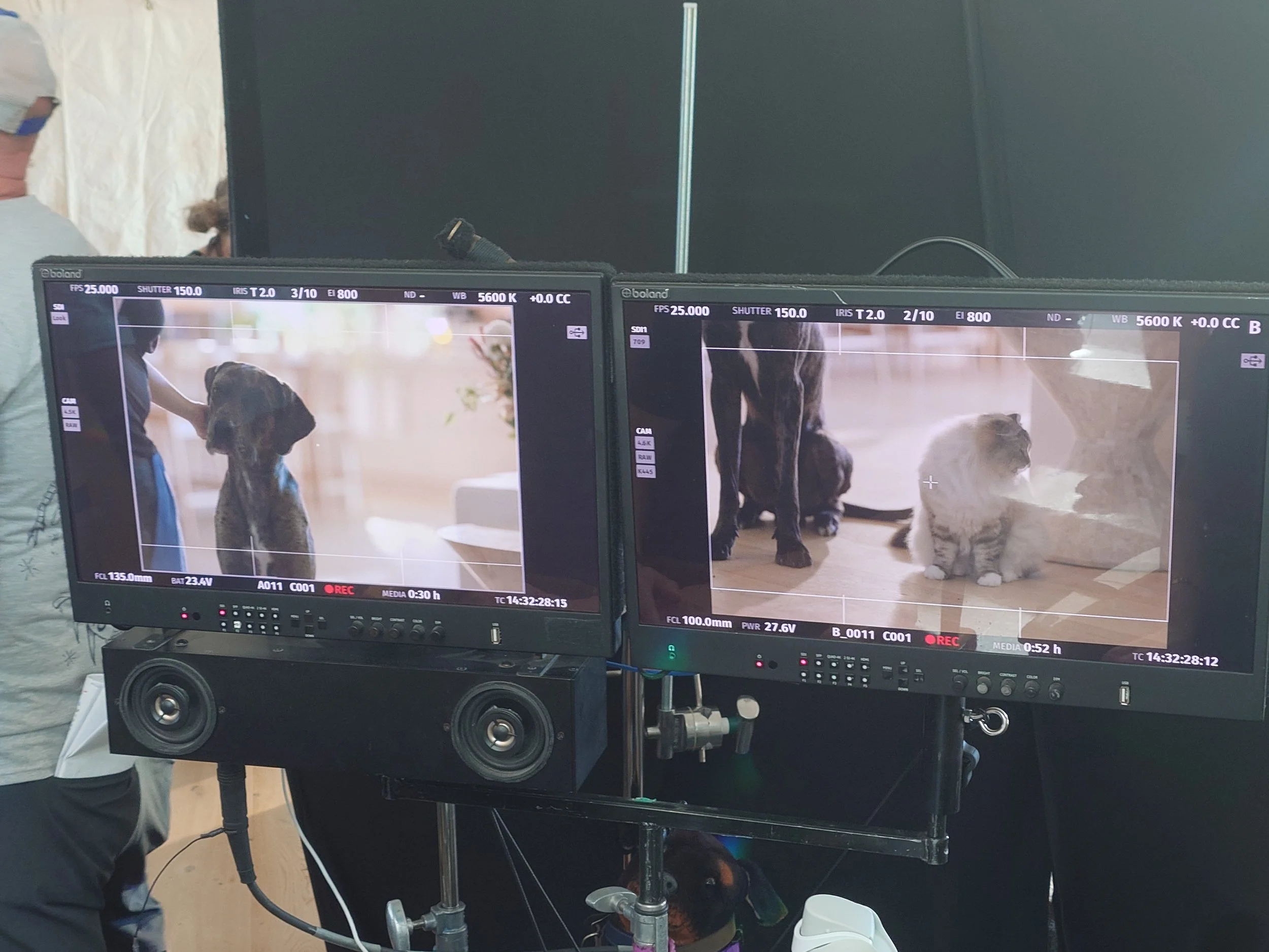 Monitors - Blue & Sweety