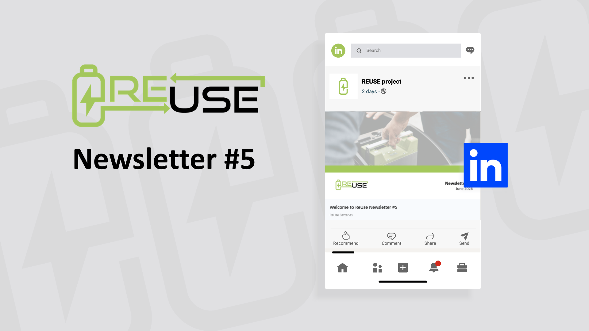 Newsletter #5