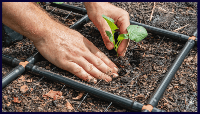 How Irrigation Systems Reduce Water Bills