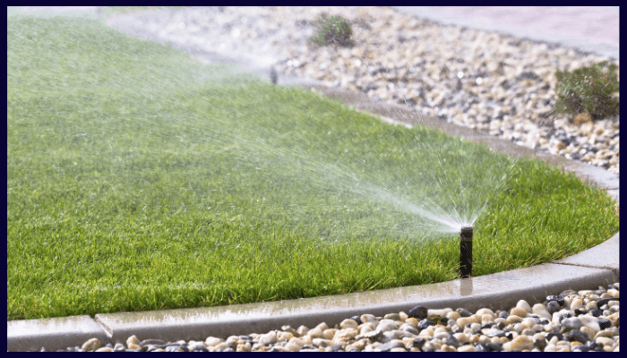 Pop-up sprinkler watering a green lawn near a stone garden border