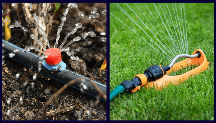 Side by side comparison of drip irrigation emitter watering soil and sprinkler watering a lawn.