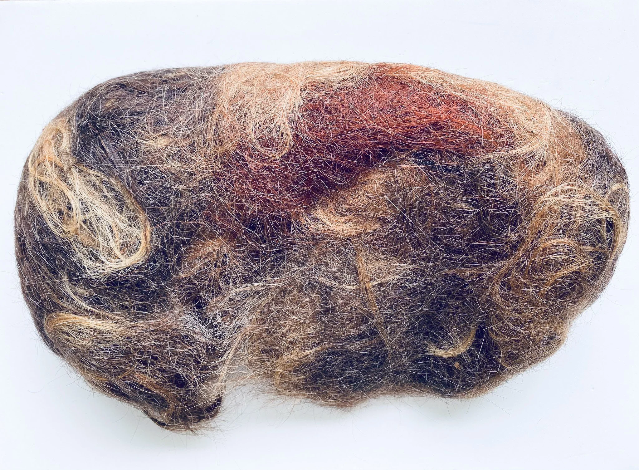 Melania Trejo_HAIR raw.jpg