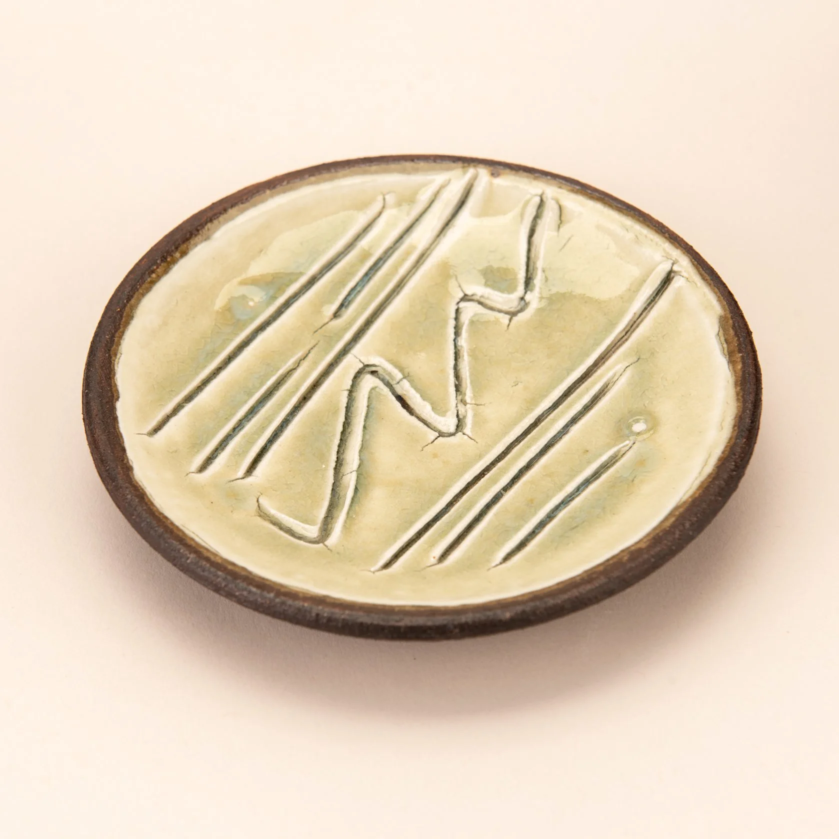 Ring dish product shot