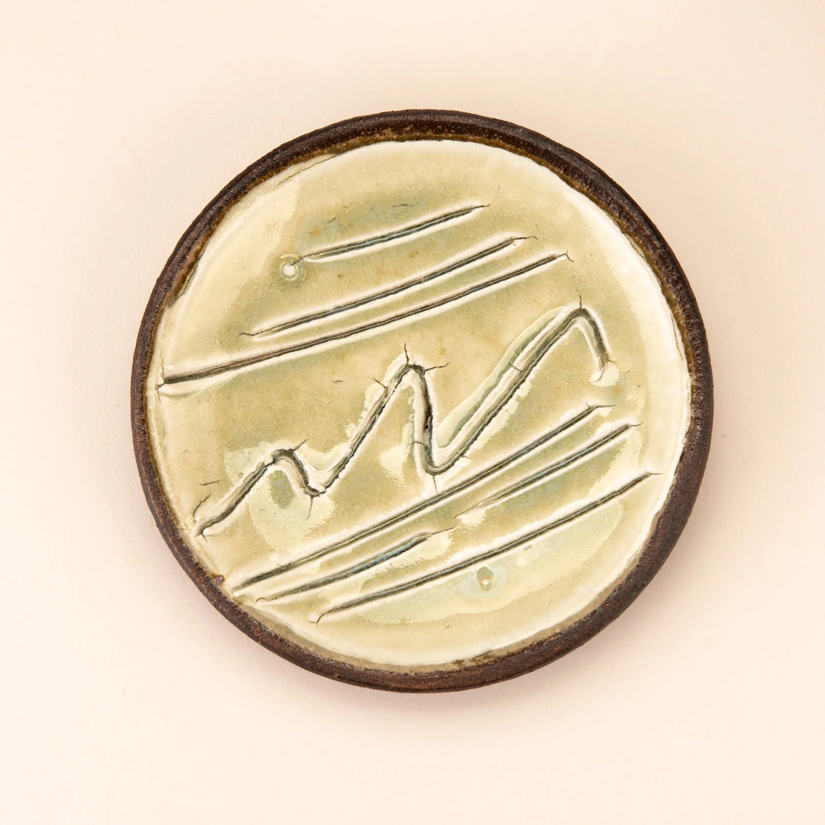 Ring dish product shot