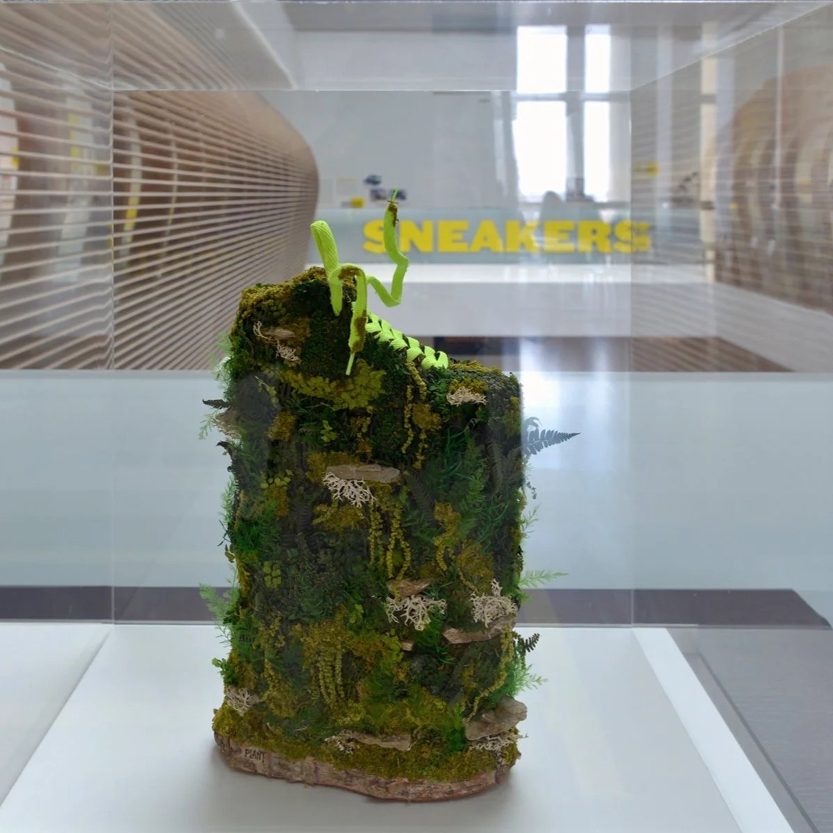 MUSÉE DE L'HOMME, PARIS - SNEAKERS