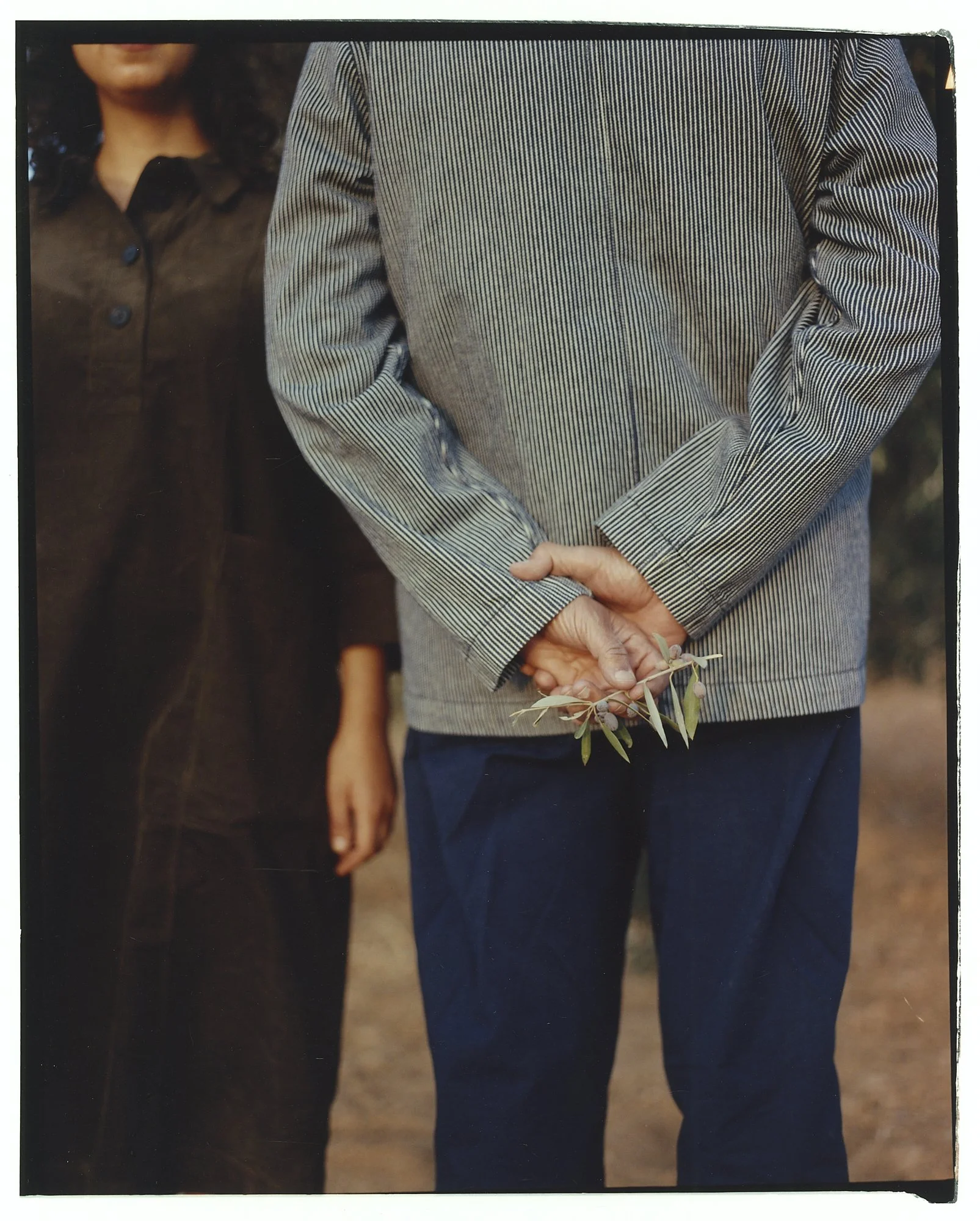 141125_TOAST_KAIA_SafiaShakarchi_LowRes_ 1.jpg