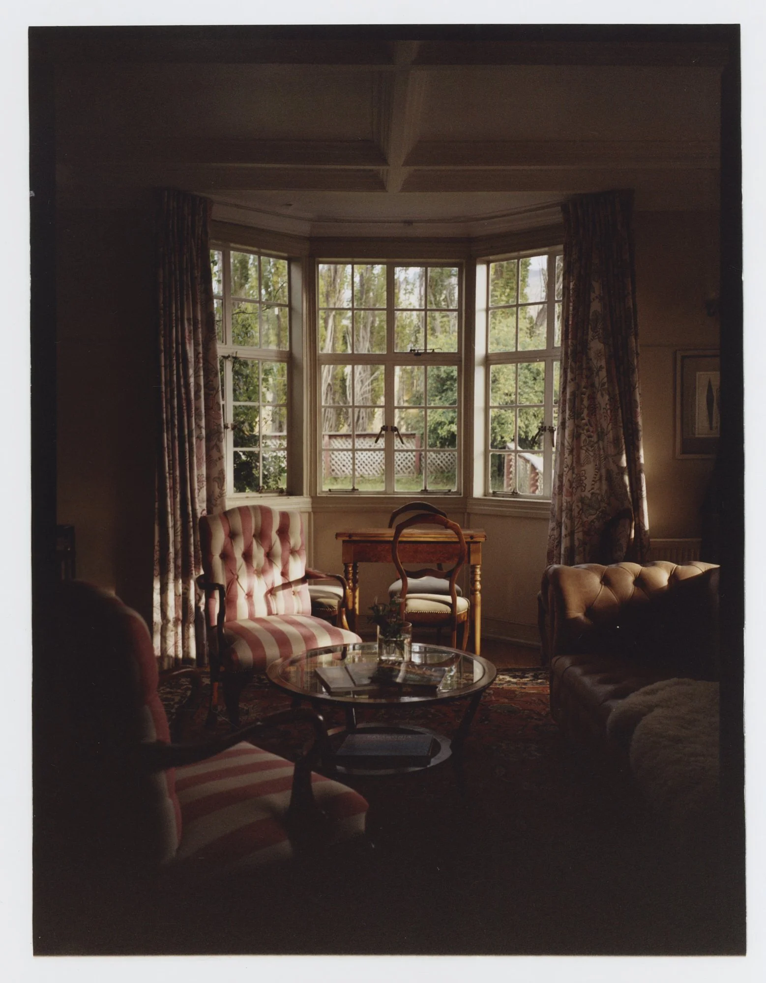 022625_SouthAmericaFilm_SafiaShakarchi 1.jpg