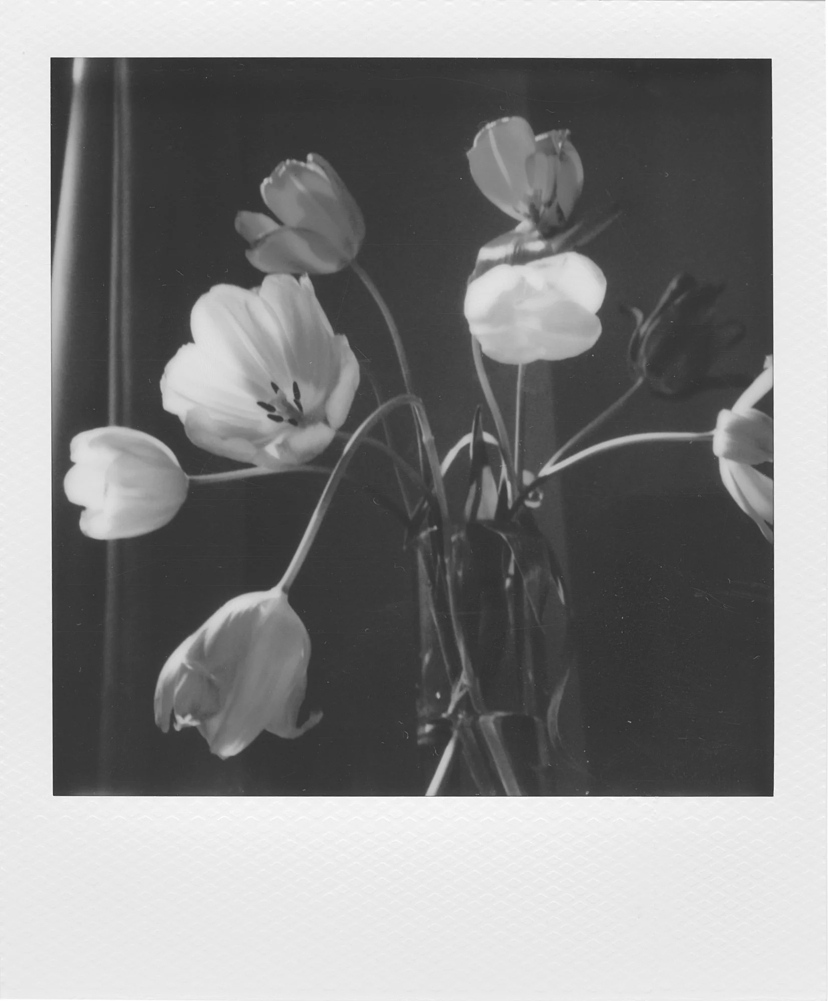 270426_Sorelle_Polaroids_SafiaShakarchi_LowRes_5.jpg