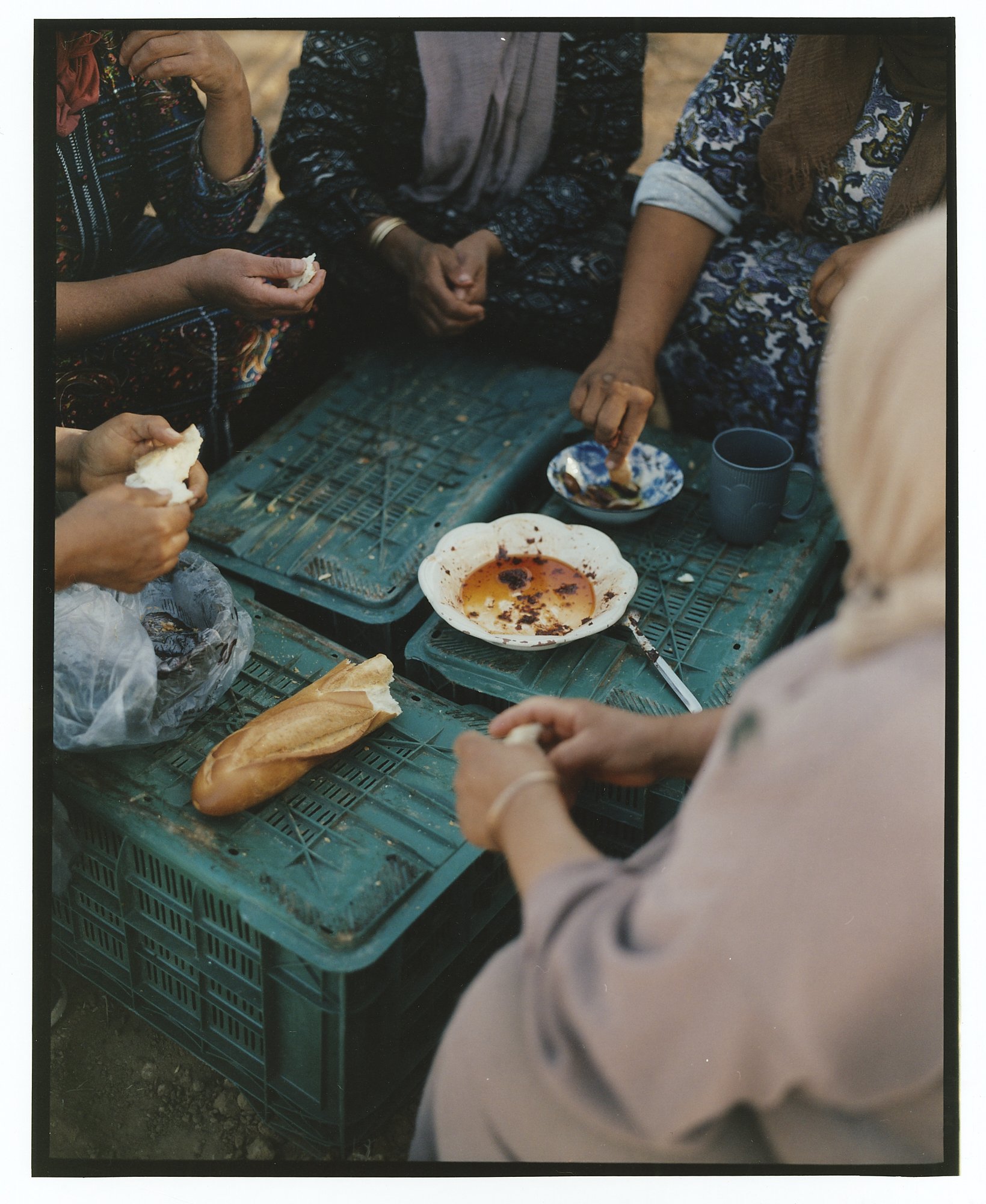 141125_TOAST_KAIA_SafiaShakarchi_LowRes_ 2.jpg