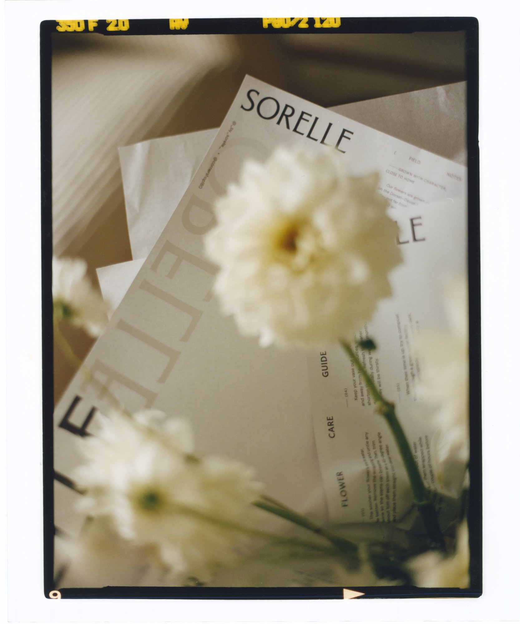 030926_Sorelle_StClement_SafiaShakarchi_120mm_LowRes_1.jpg