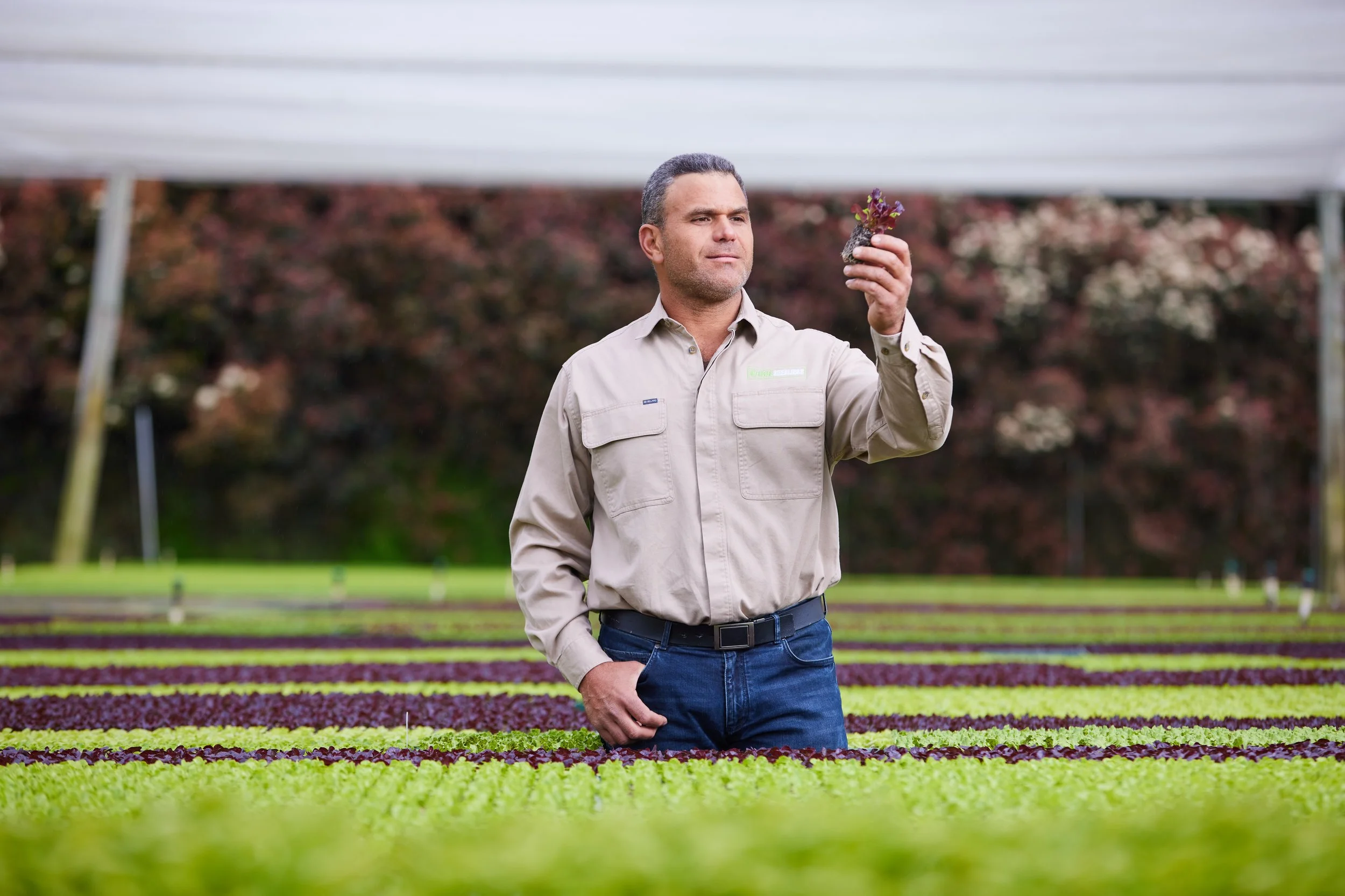 221011_ChoiceSeedlings0661.jpg