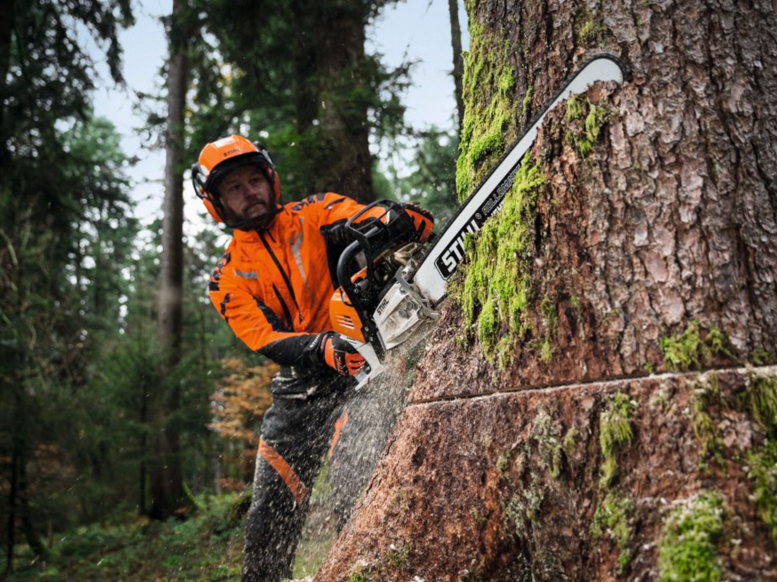 CHAINSAW ACCESSORIES