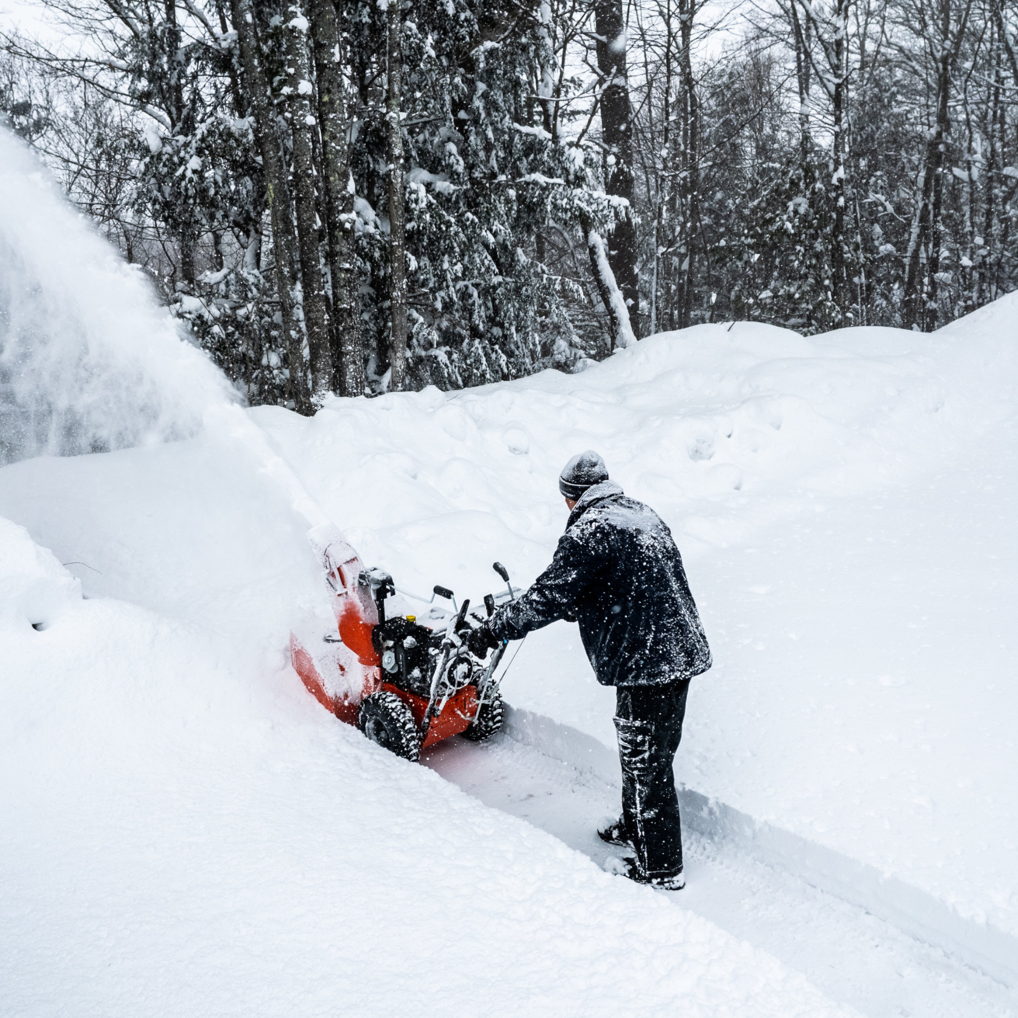 Untitled-2.png (Copy)