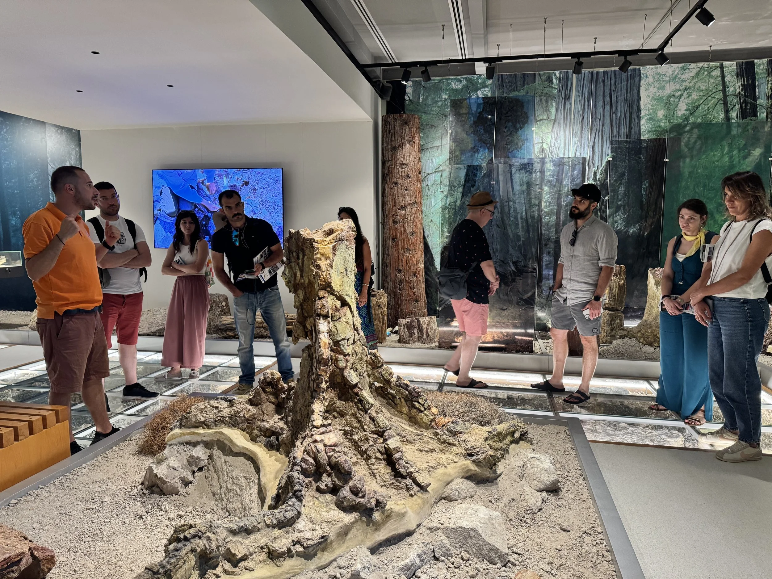 IMG_8306.jpeg