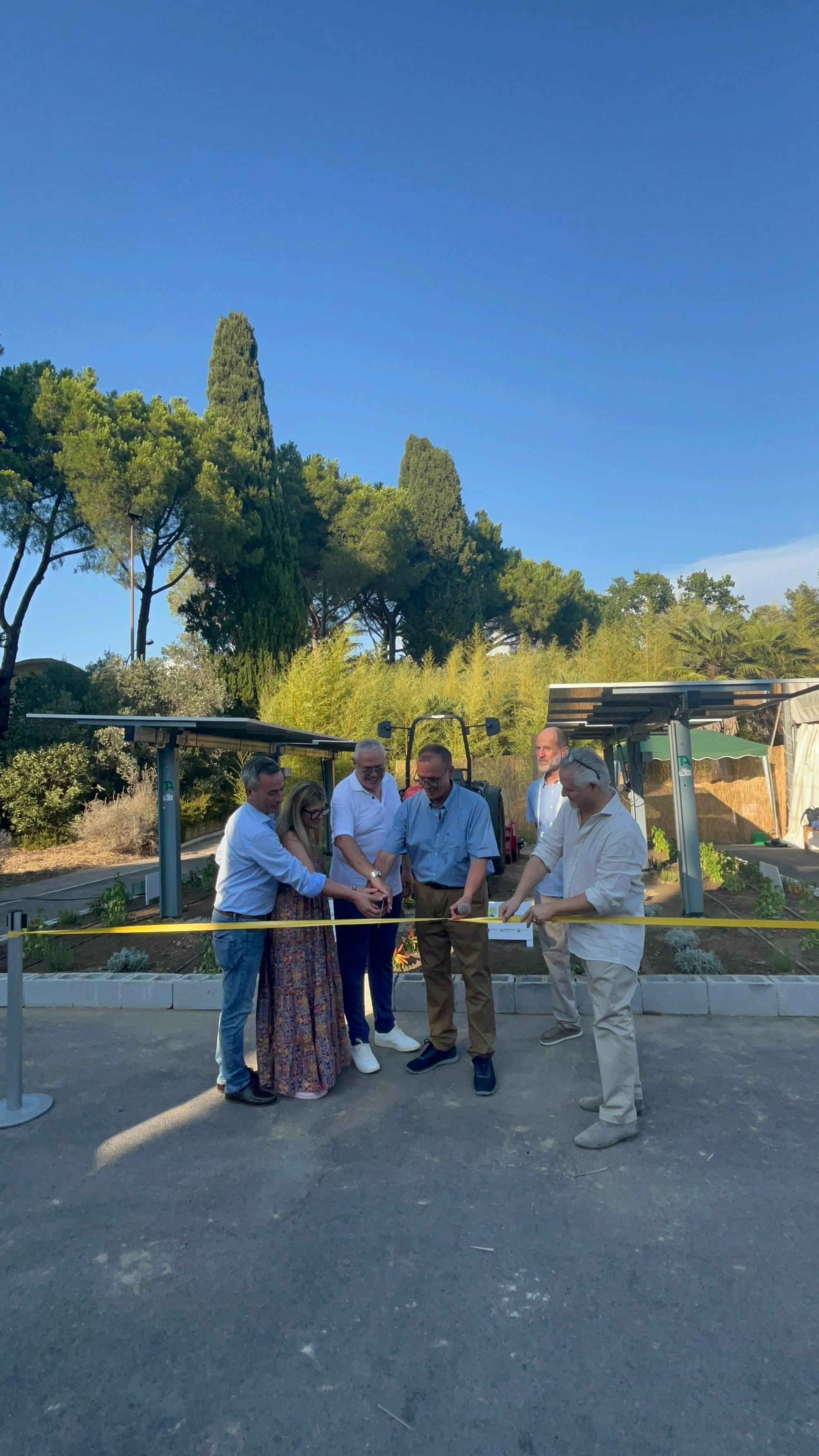 WhatsApp Image 2024-08-27 at 09.53.54.jpeg