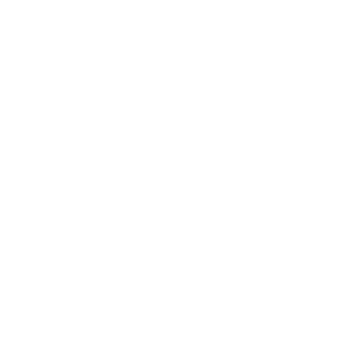 Evergreen New York