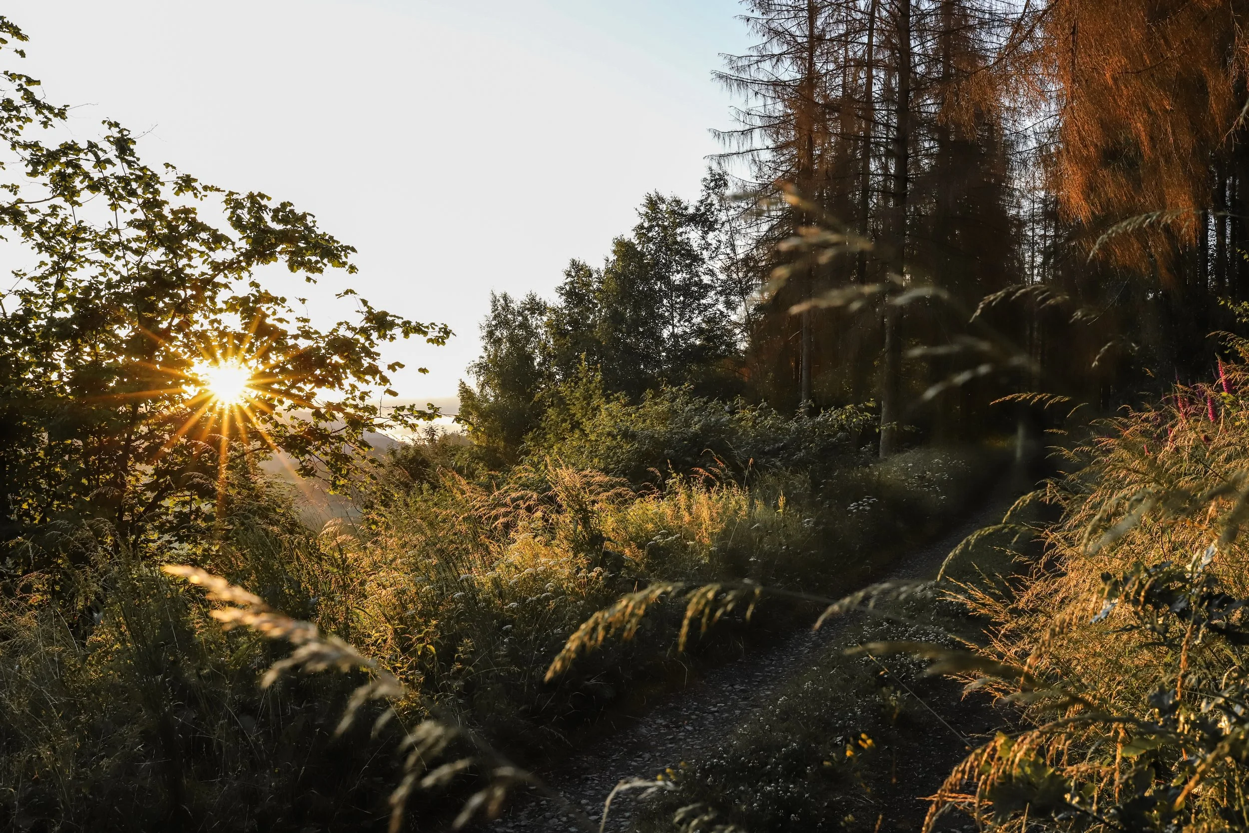 Sonnenaufgang Altenhundem-3367.jpg
