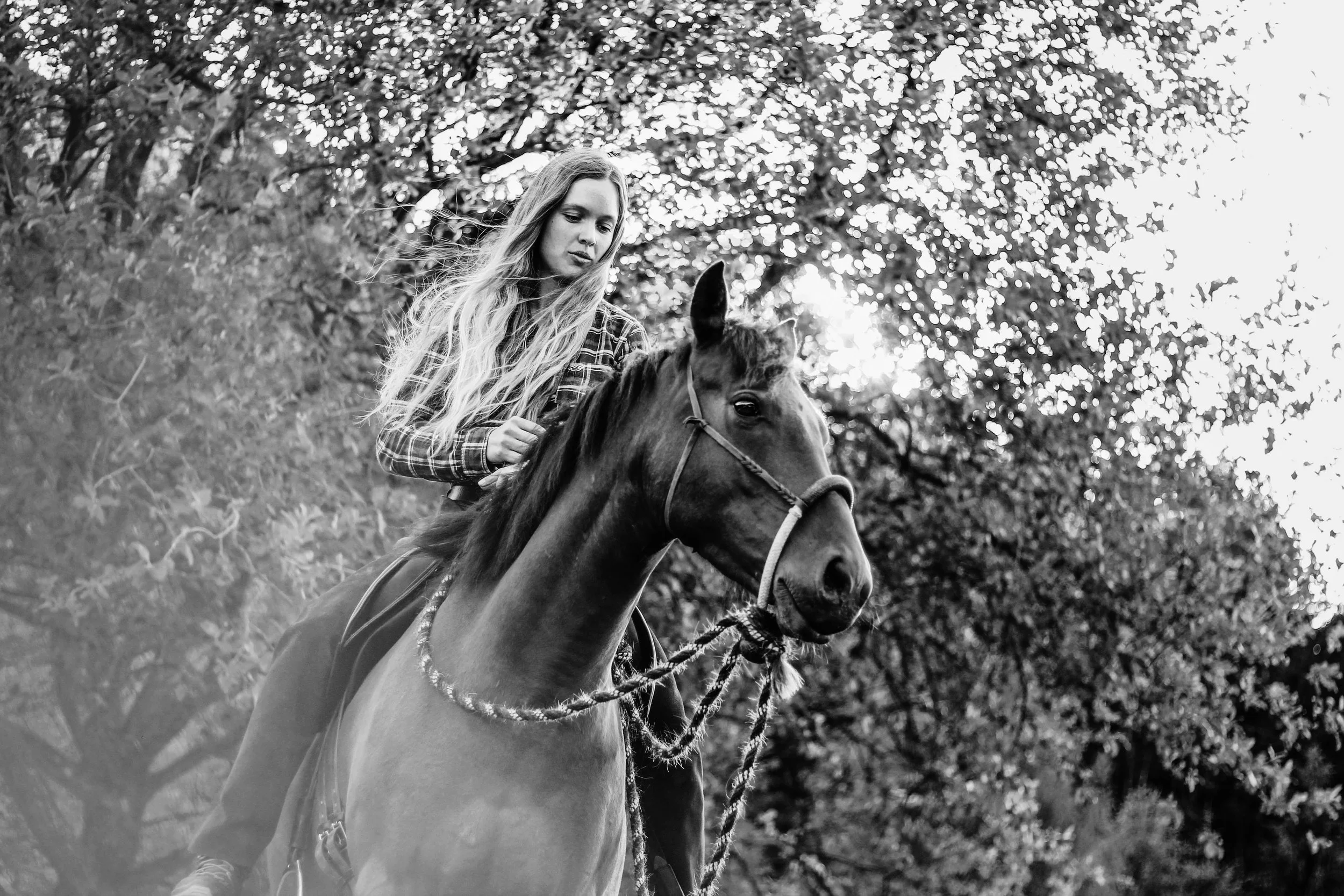 IMG_8749bw.jpg