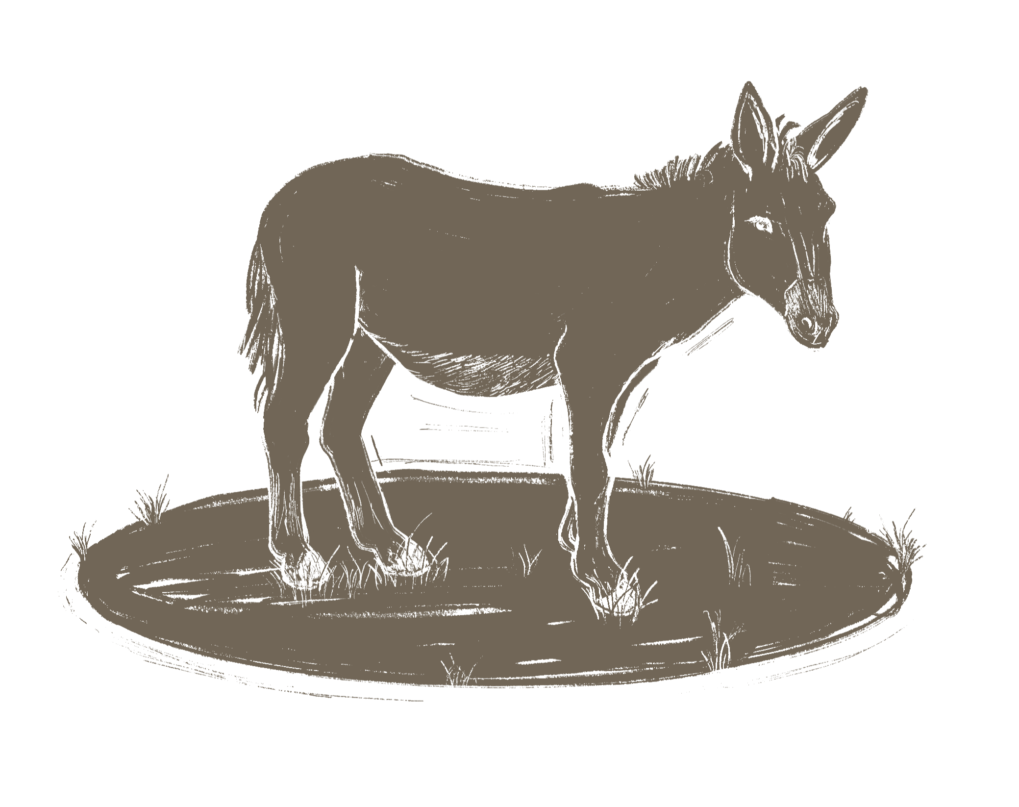 Donkey.png