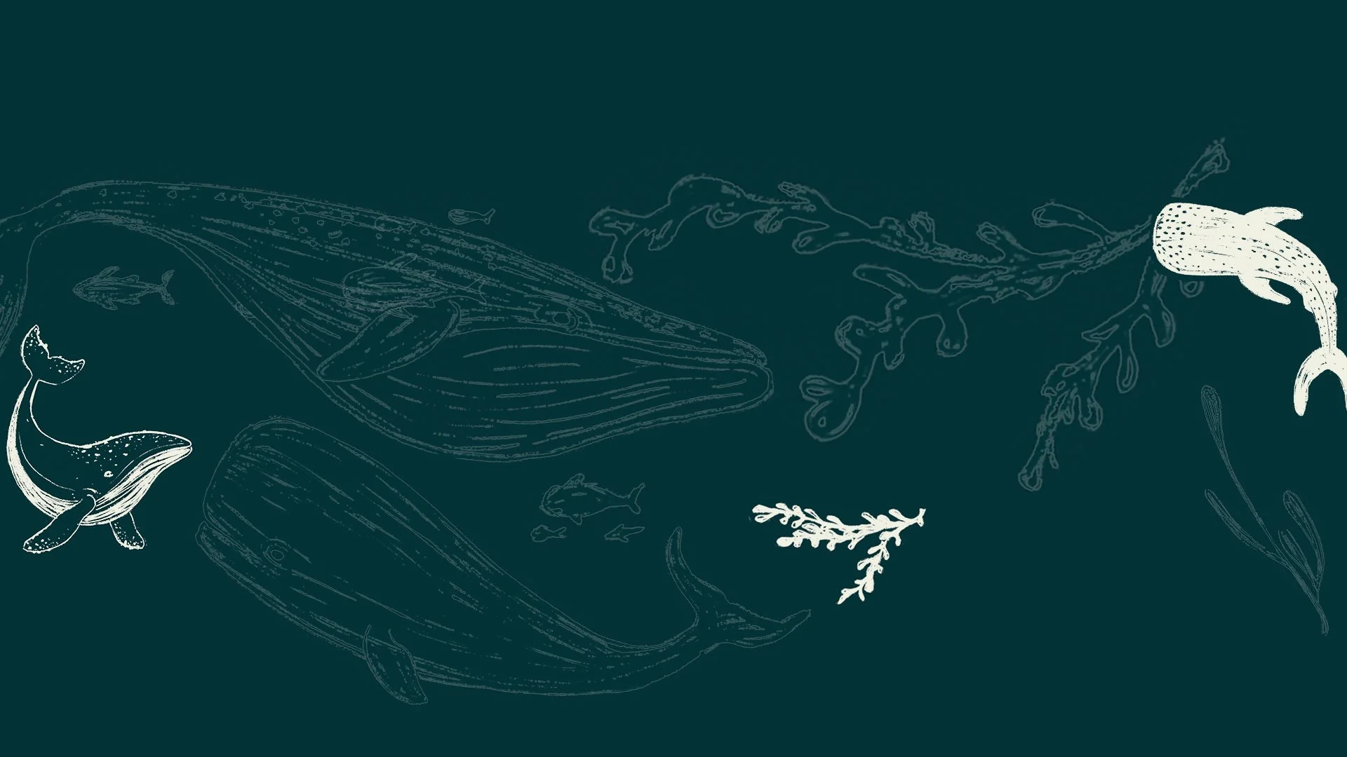 Header image copy.jpg