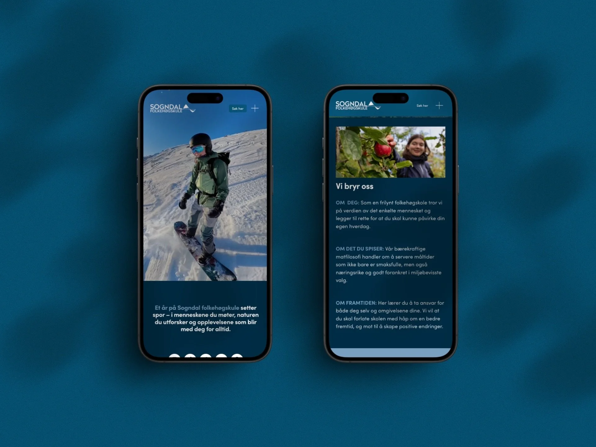 Sogndal Fhs - Rebranding | Websites