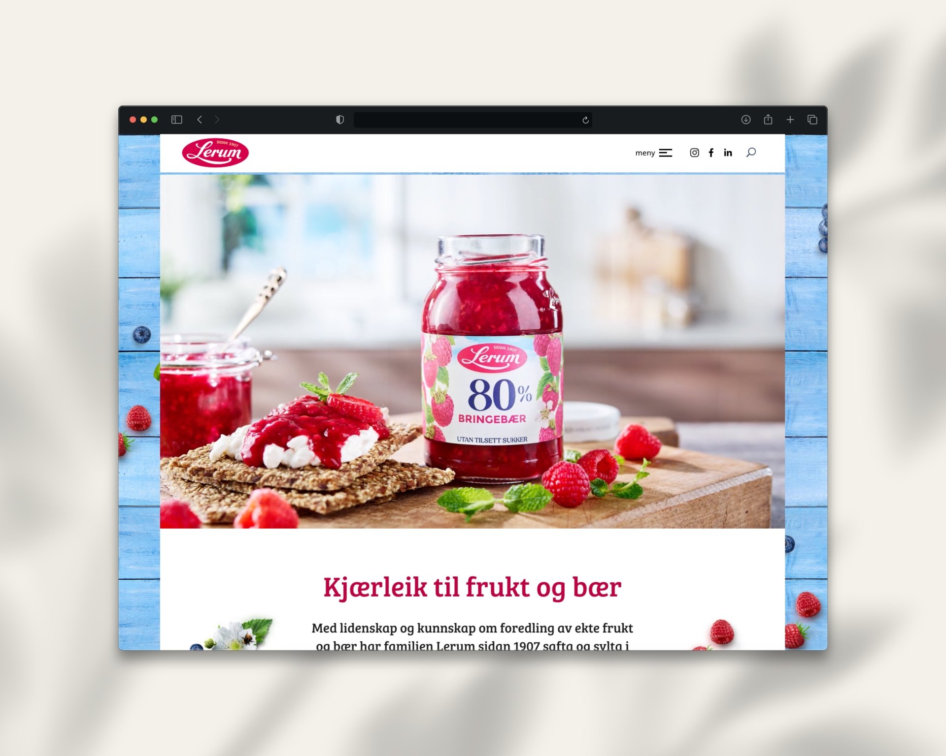 Lerum - Websites | Digital marketing