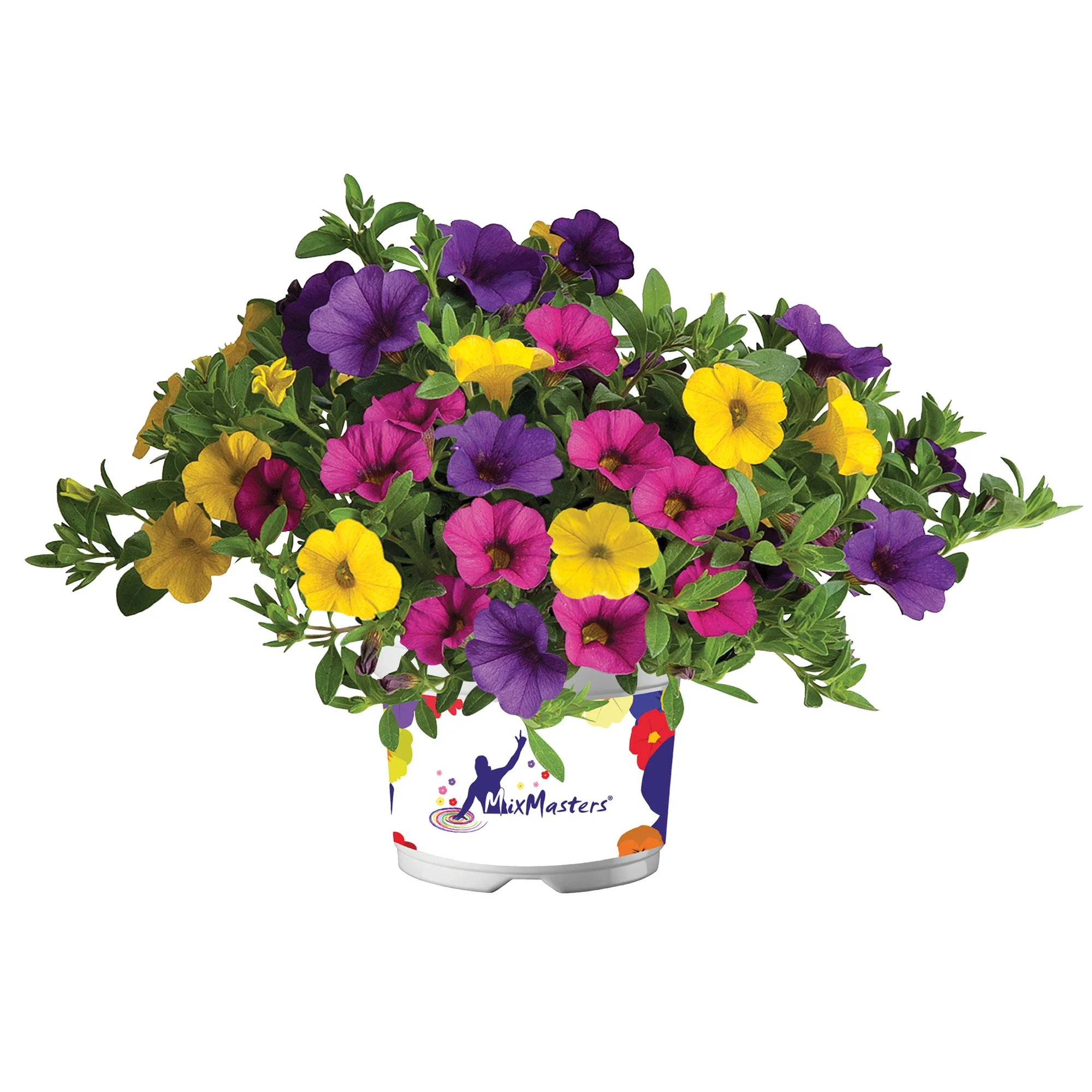 Calibrachoa Cabaret Mixmaster Cocacabana