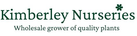 Kimberley Nurseries grower and wholesale of high quality plants.