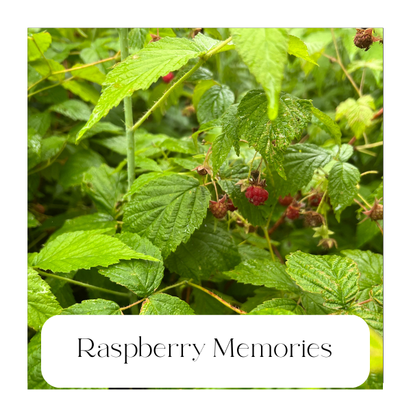 Picking raspberries in the wild is a formative, and delicious, childhood adventure