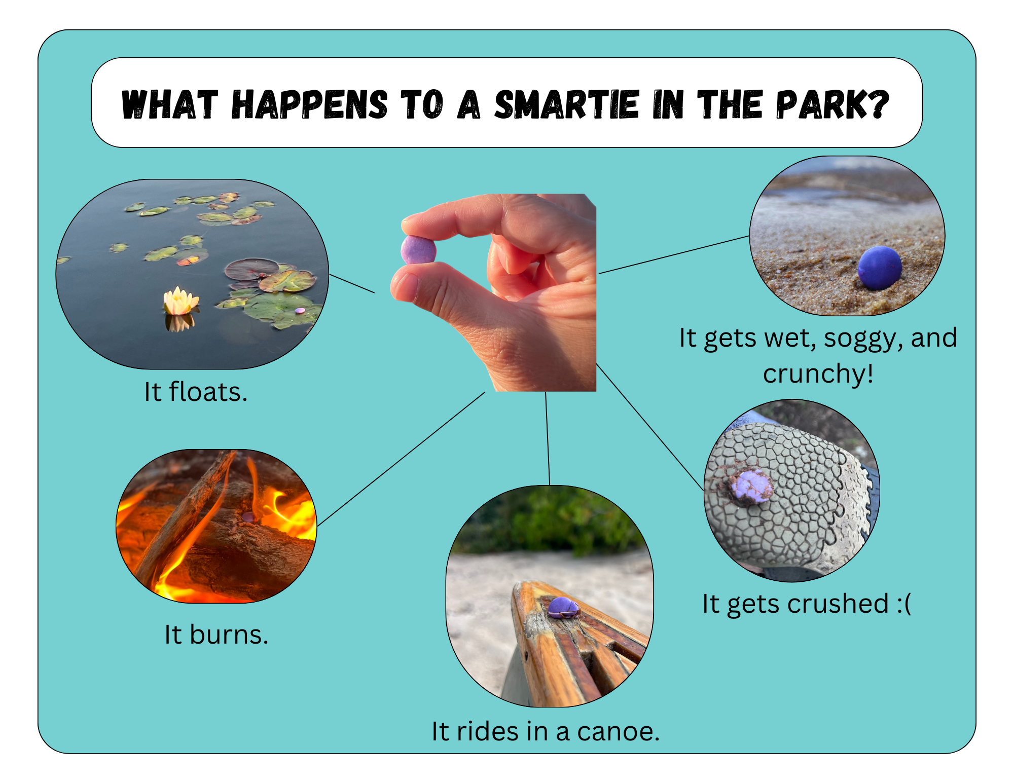 There are so many fun ways to connect Smarties to the learning in the ...