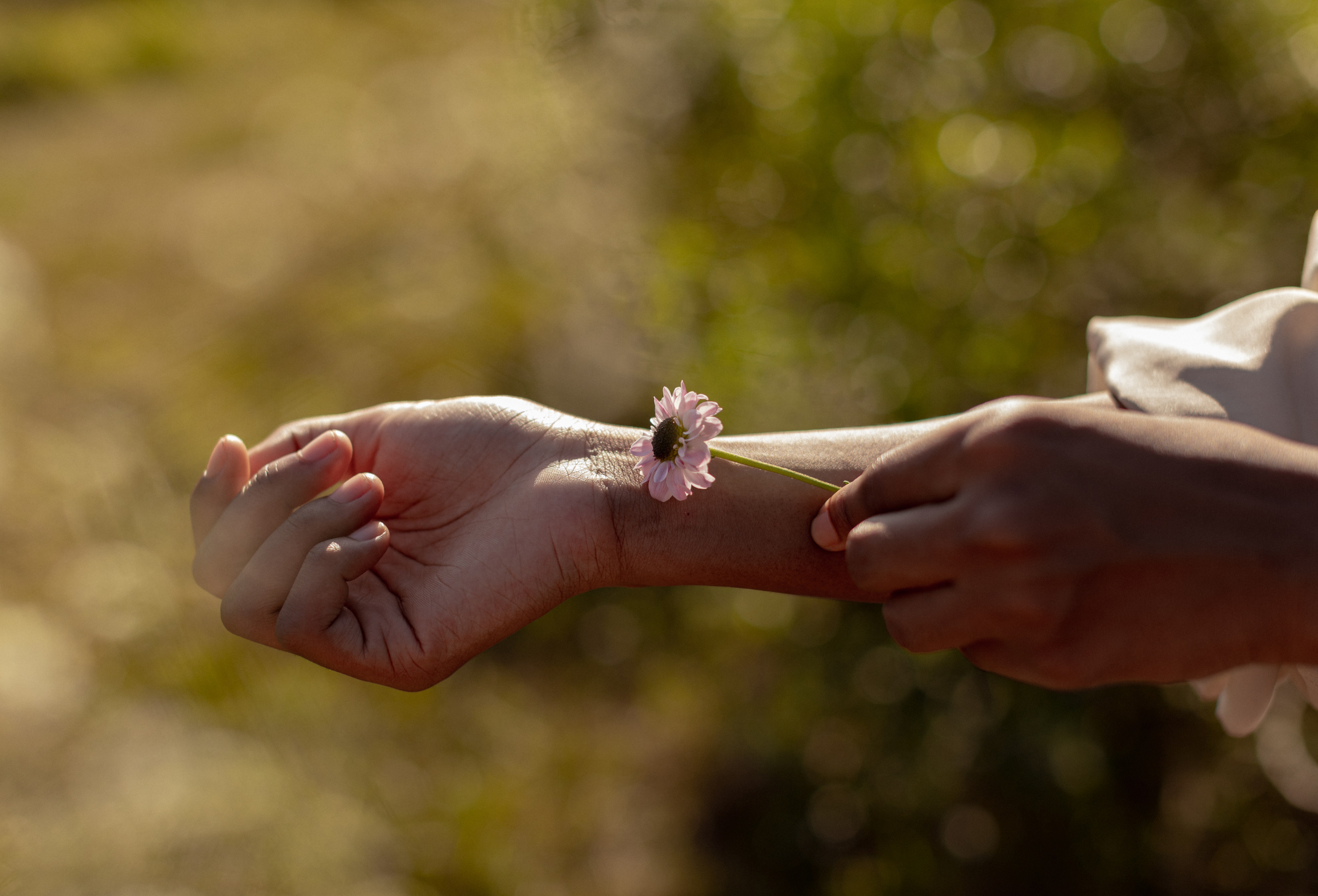 Frau streicht mit einer Blume sanft über ihren Arm – Symbolbild für Achtsamkeit, Selbstfürsorge und liebevolle Verbindung zum eigenen Körper.