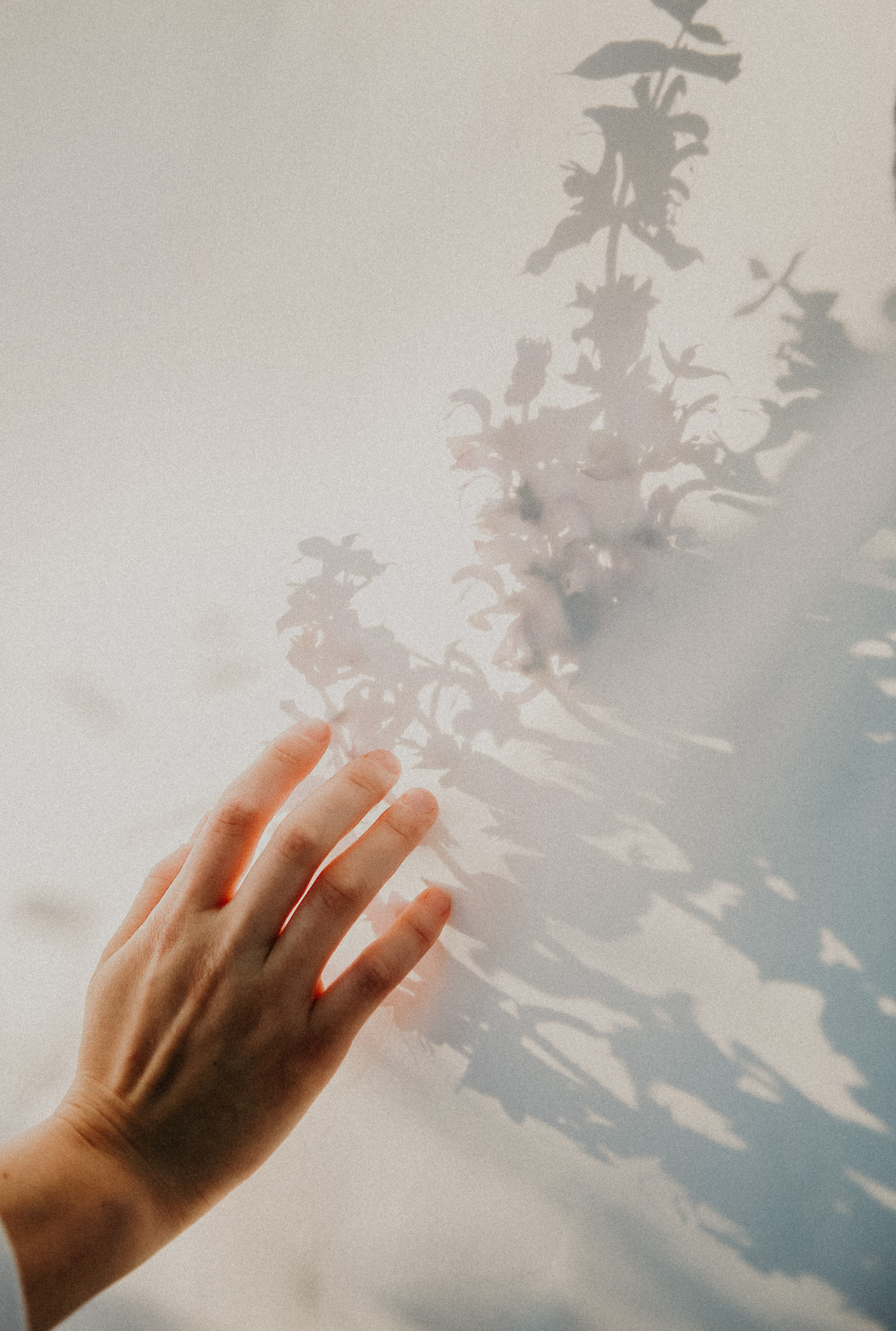 Hand die Schattenmuster von Pflanzen an einer Wand berührt, als Ausdruck von Präsenz und achtsamer Beobachtung des Momentes.
