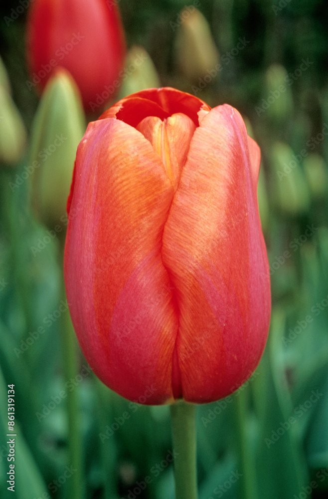 AdobeStock_861319134_Preview.jpeg