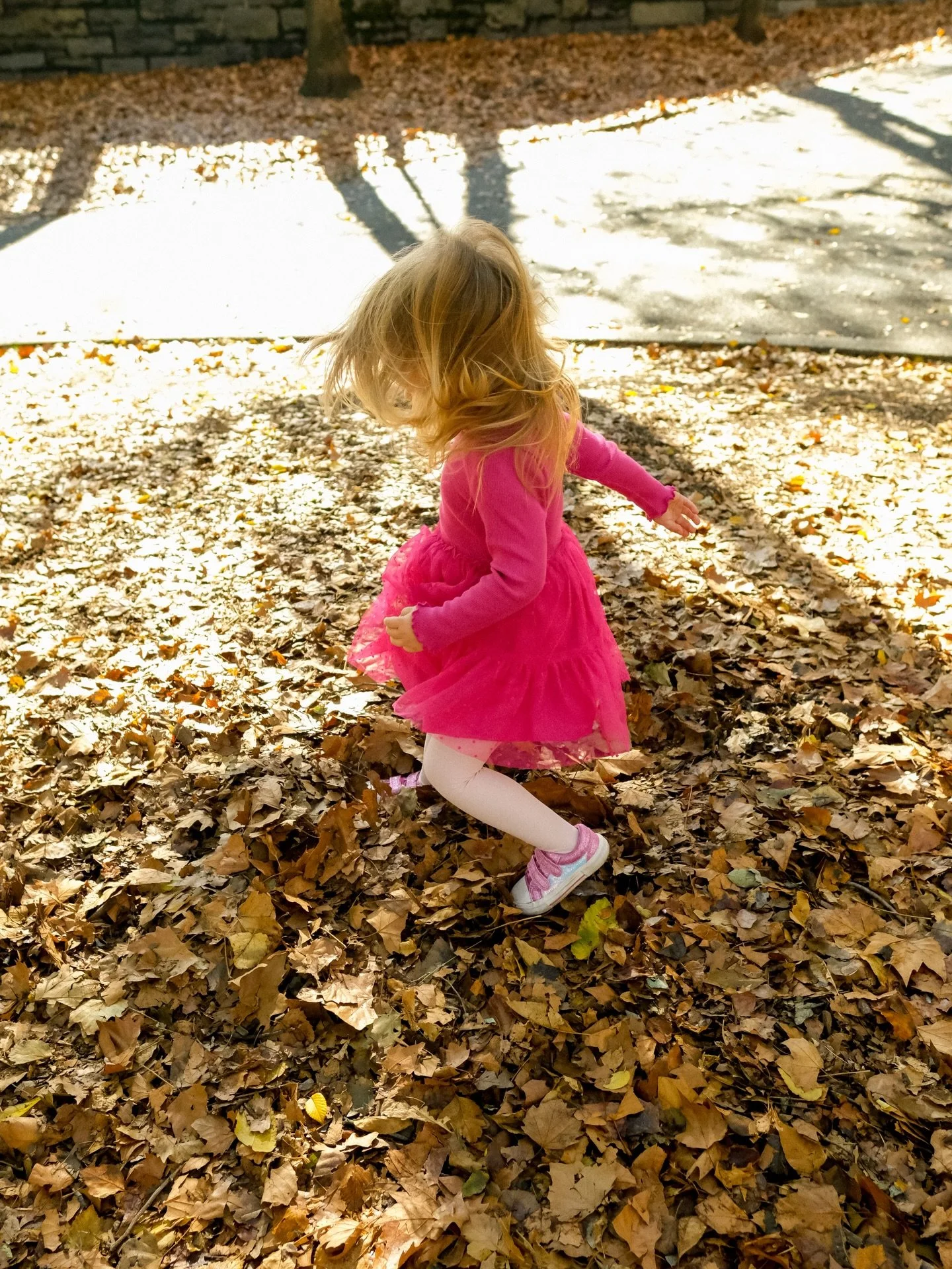 This sweet, beautiful creature. 🎀✨ I pray that baby girl grows up to love us as much as Daphne loves them. 💗 

I adore every second of my time with you guys! Thank you for choosing me to be your photographer @allisonrberry