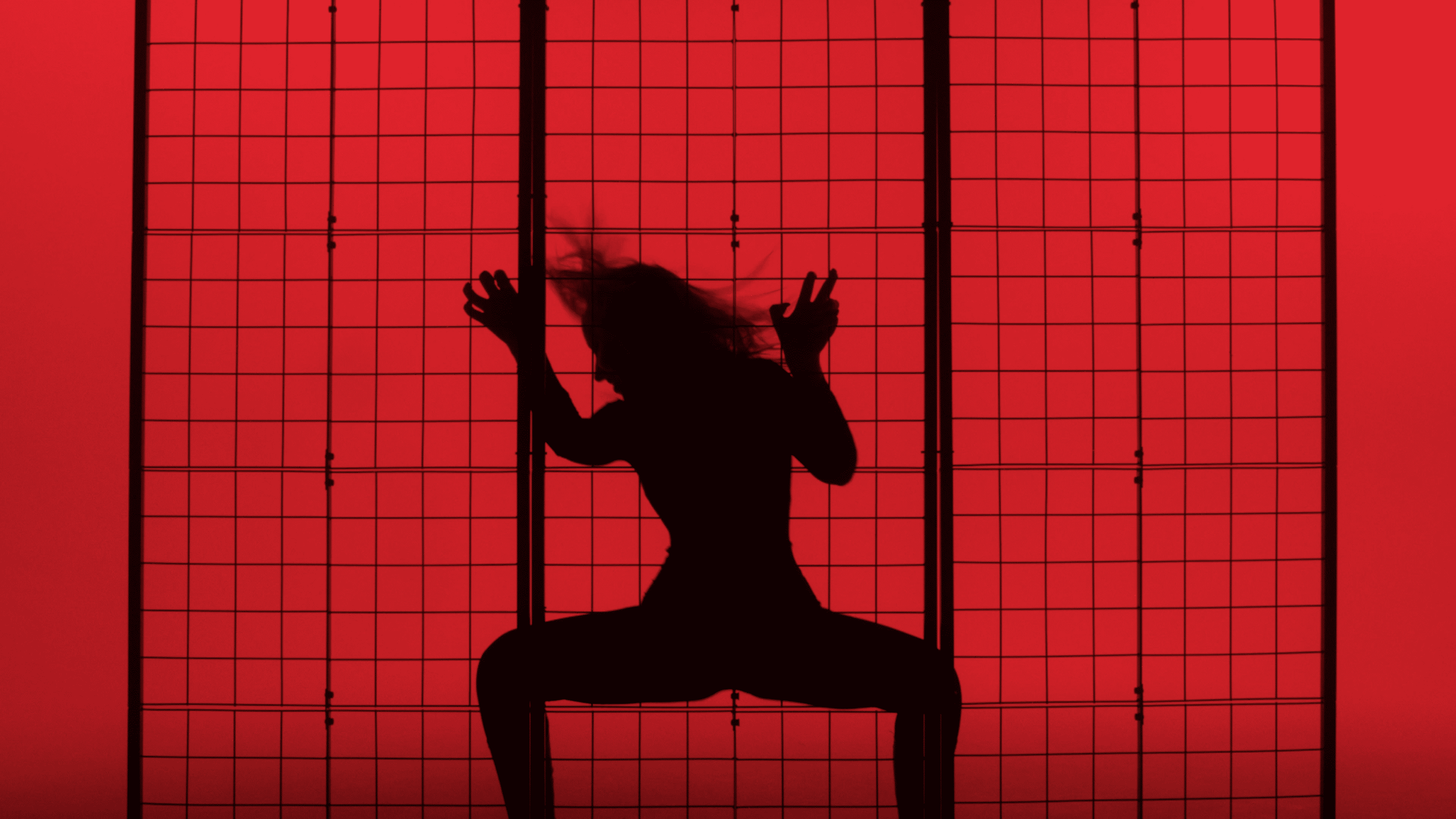 Sophie And The Giants - “Red Light” Music Video 
