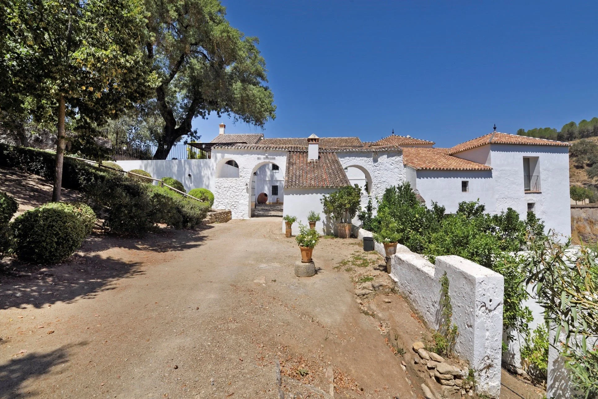 El duende front.jpeg