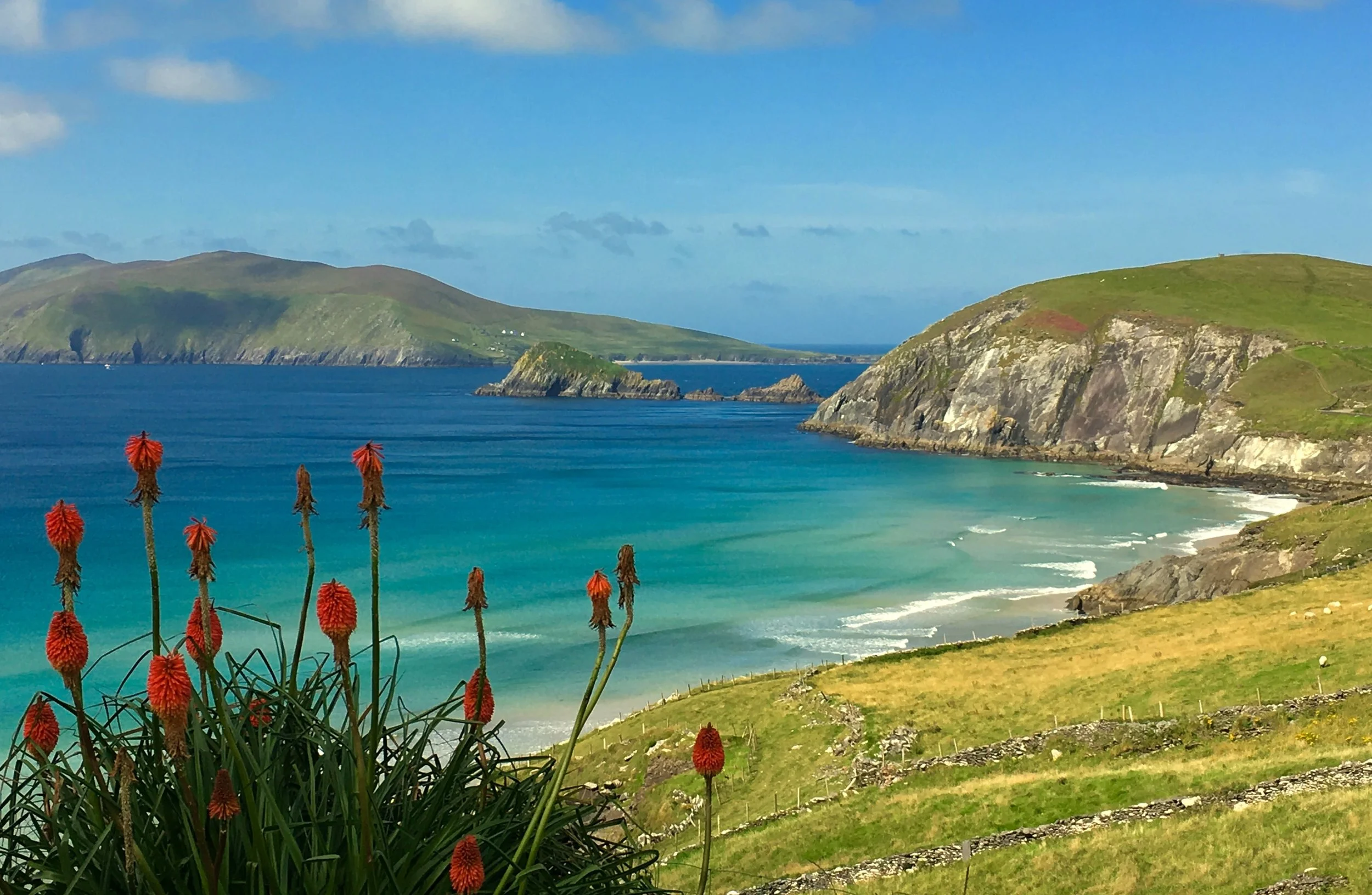 SW Ireland - a Culinary Tour!