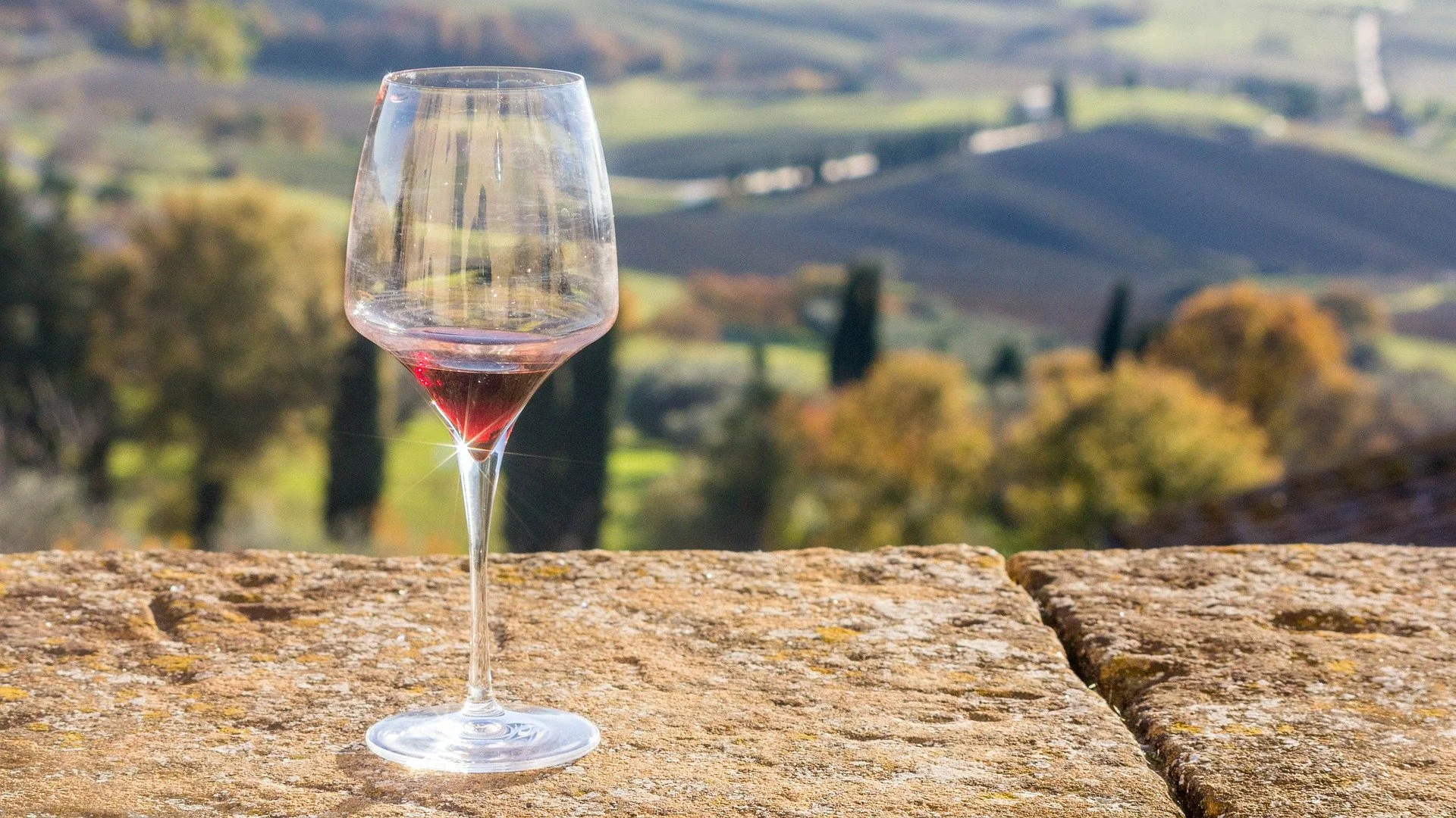 Tuscan Wine Tour with Cinque Terre!
